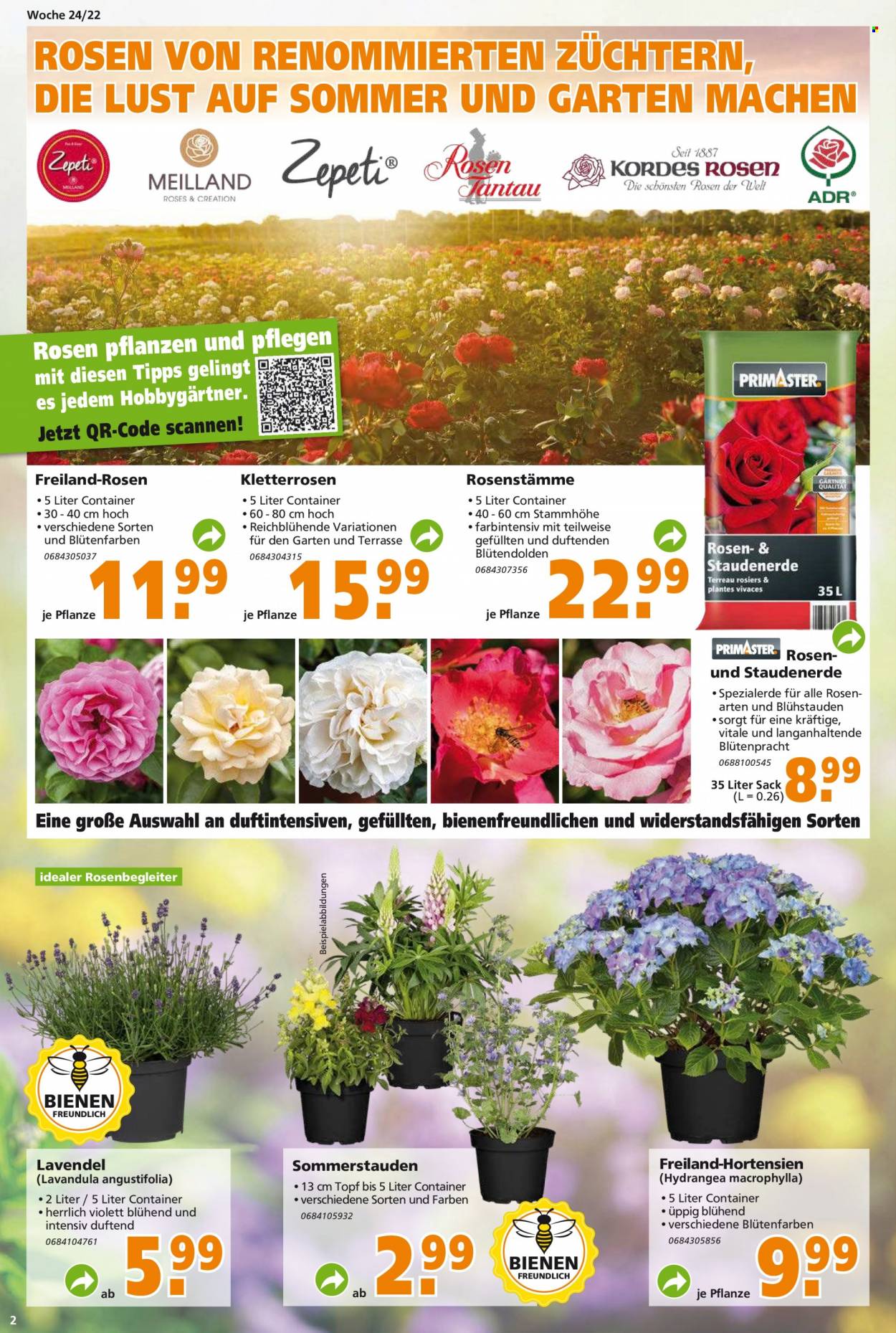 Globus Baumarkt Prospekte  - 13.06.2022 - 18.06.2022. Seite 2