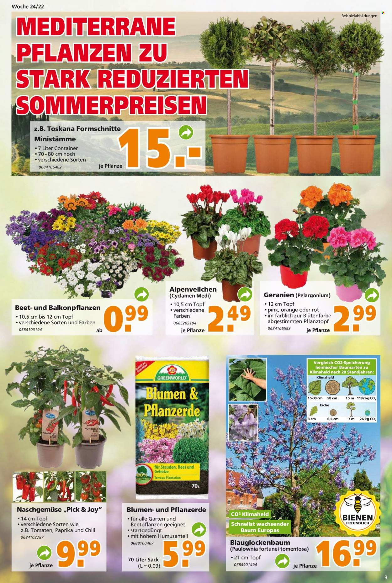 Globus Baumarkt Prospekte  - 13.06.2022 - 18.06.2022. Seite 3