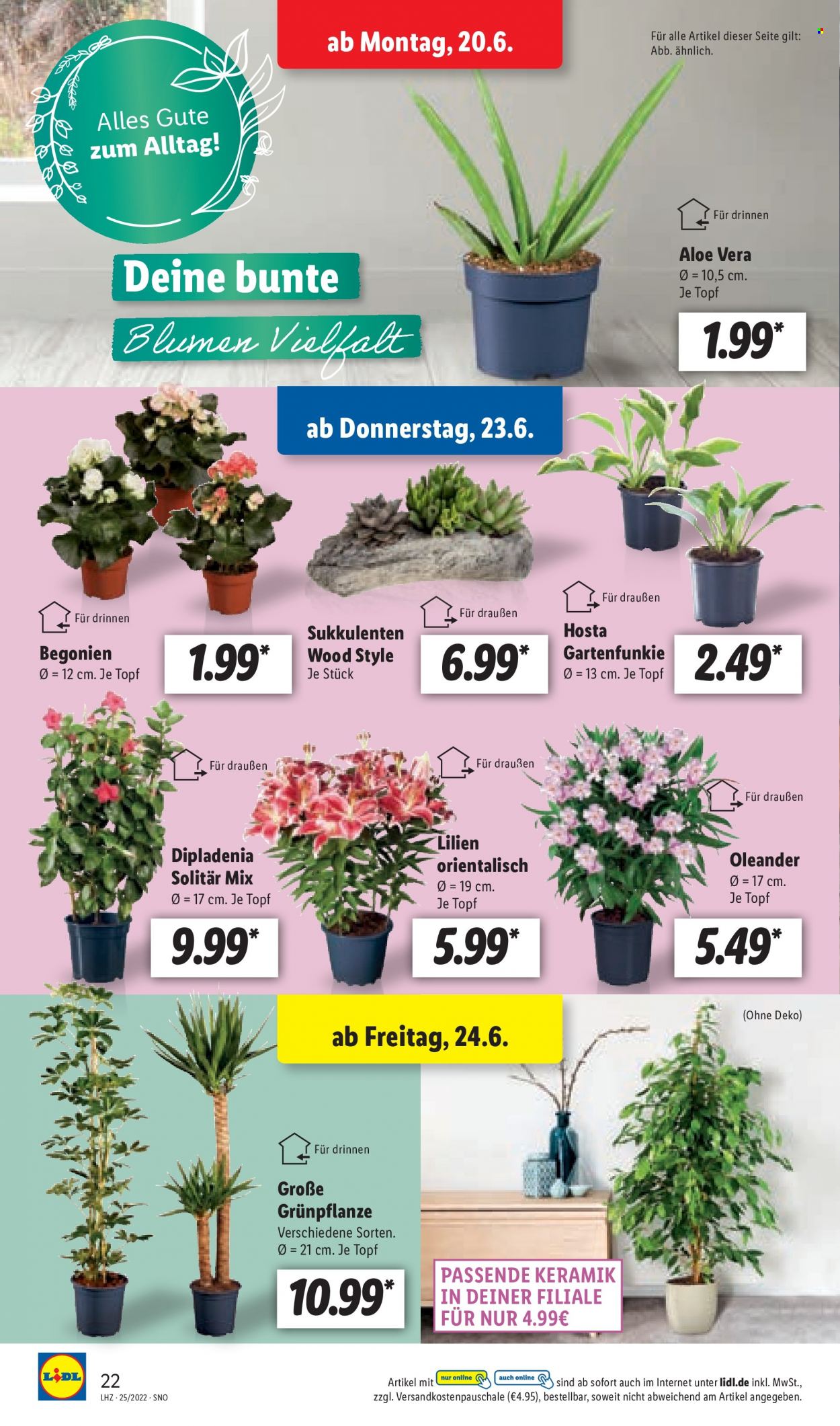 Lidl Prospekte  - 20.06.2022 - 25.06.2022. Seite 22