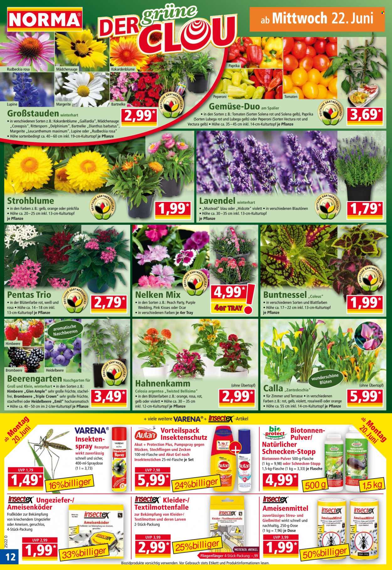 Norma Prospekte  - 20.06.2022 - 26.06.2022. Seite 12