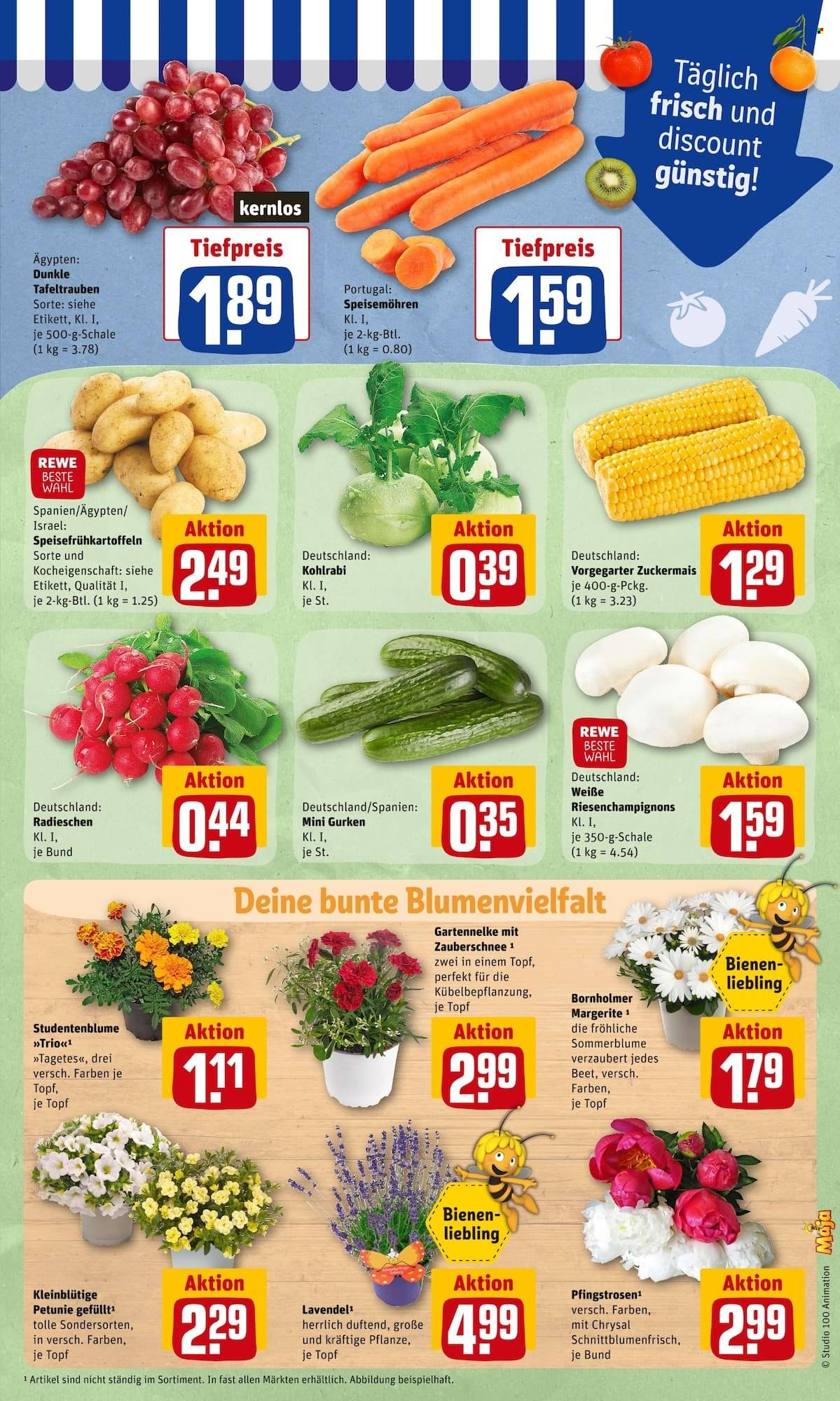 REWE Prospekte  - 13.06.2022 - 18.06.2022. Seite 5