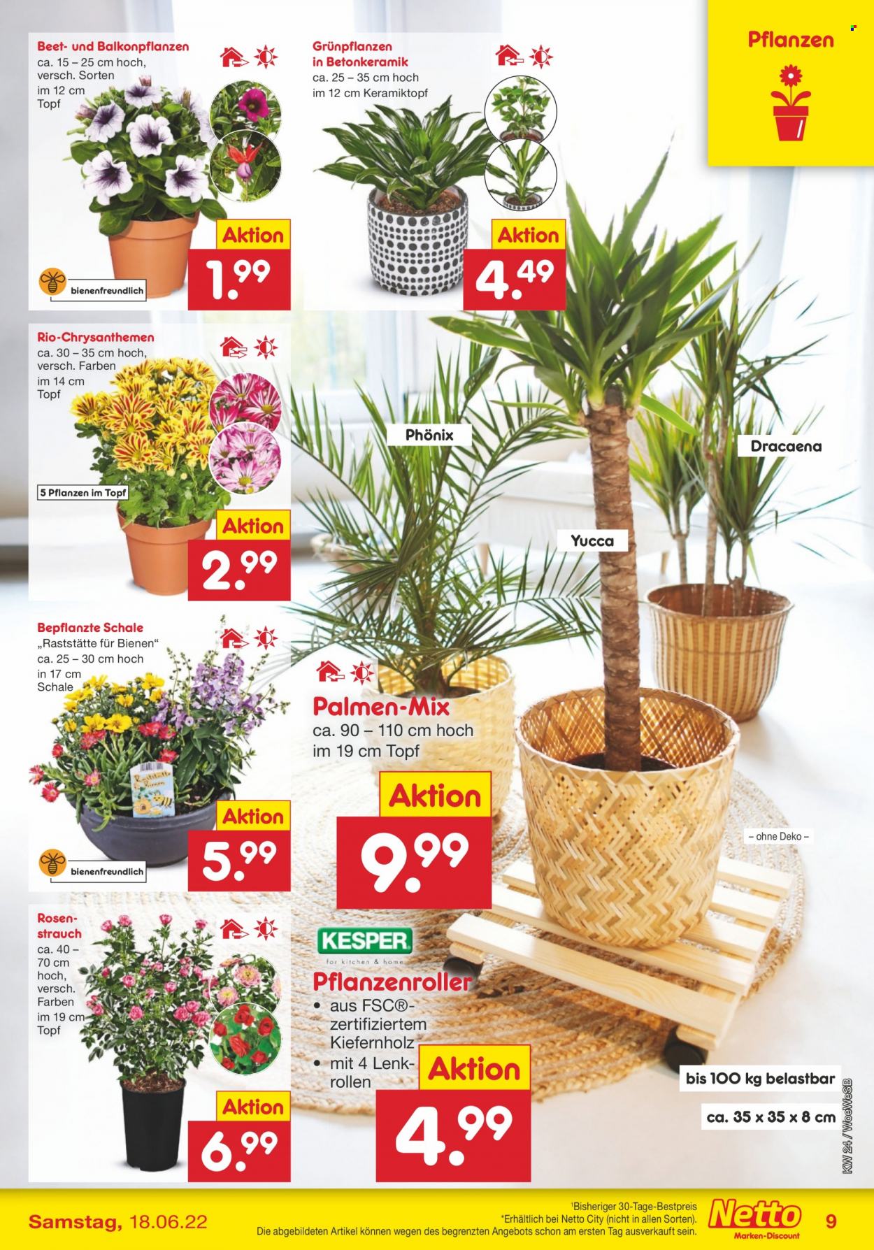 Netto Marken-Discount Prospekte  - 13.06.2022 - 18.06.2022. Seite 9