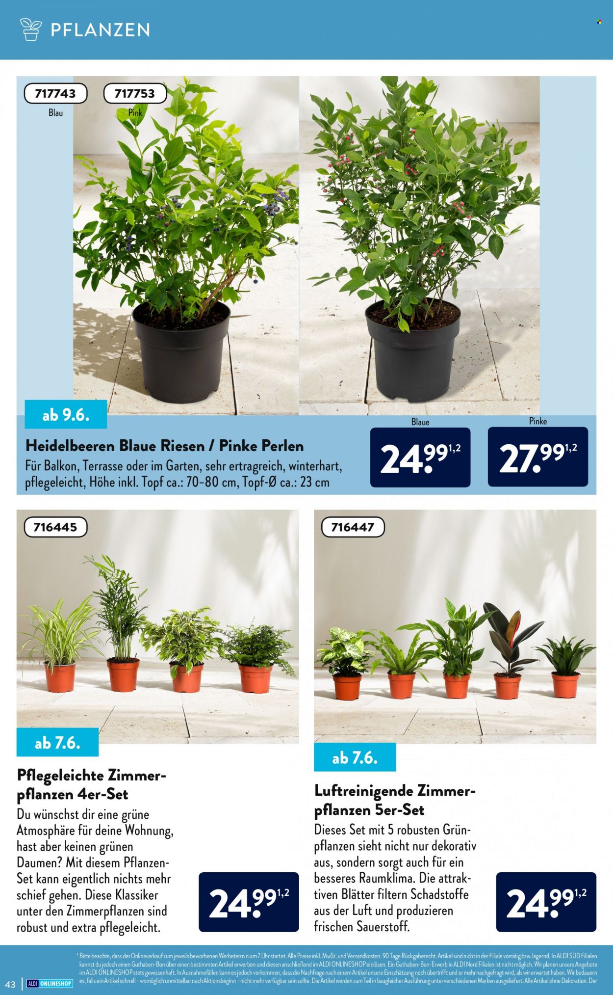 ALDI SÜD Prospekte . Seite 43
