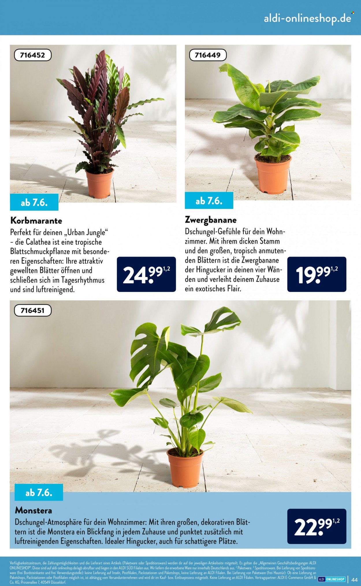 ALDI SÜD Prospekte . Seite 44