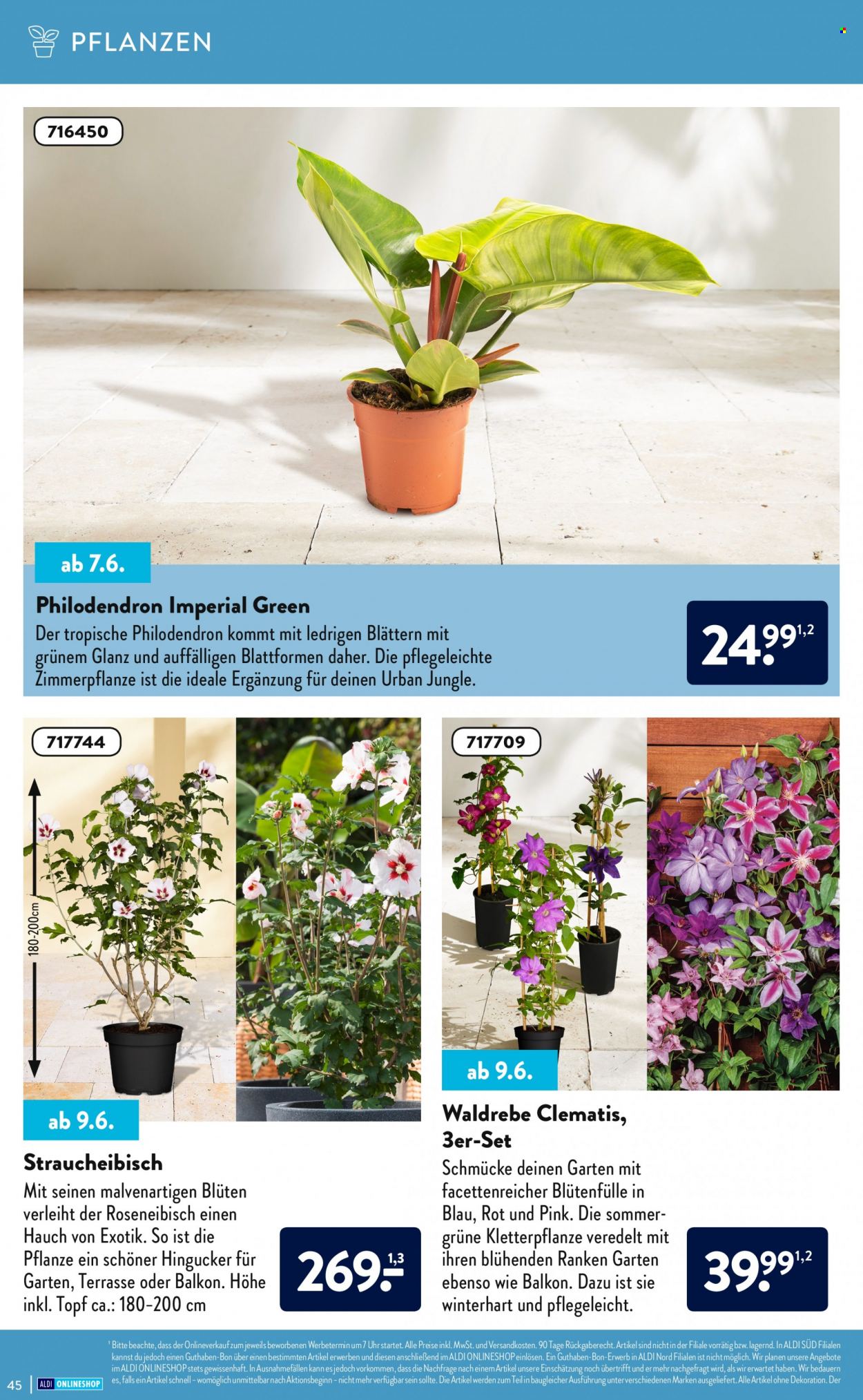 ALDI SÜD Prospekte . Seite 45