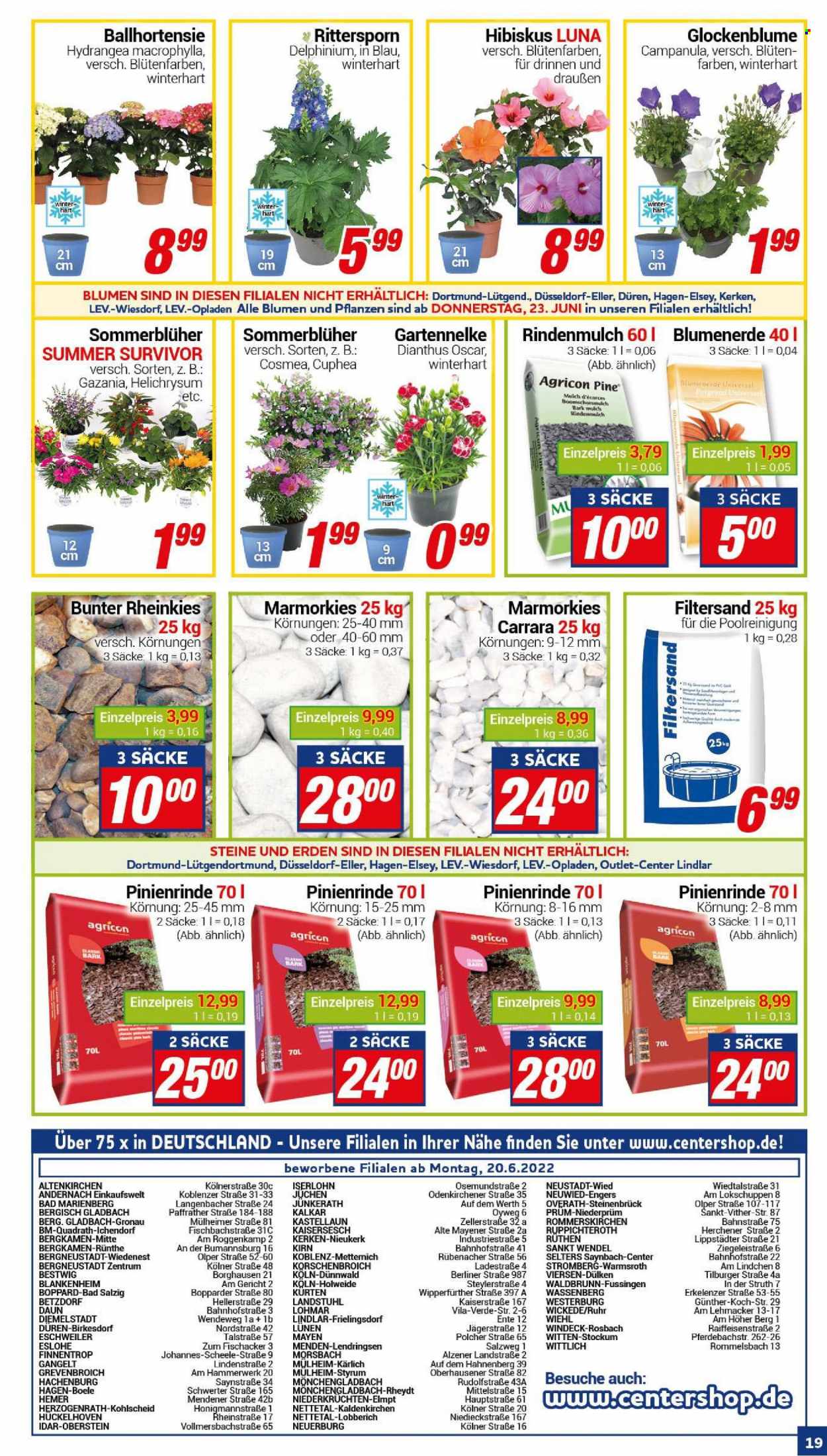 CENTERSHOP Prospekte  - 20.06.2022 - 25.06.2022. Seite 19