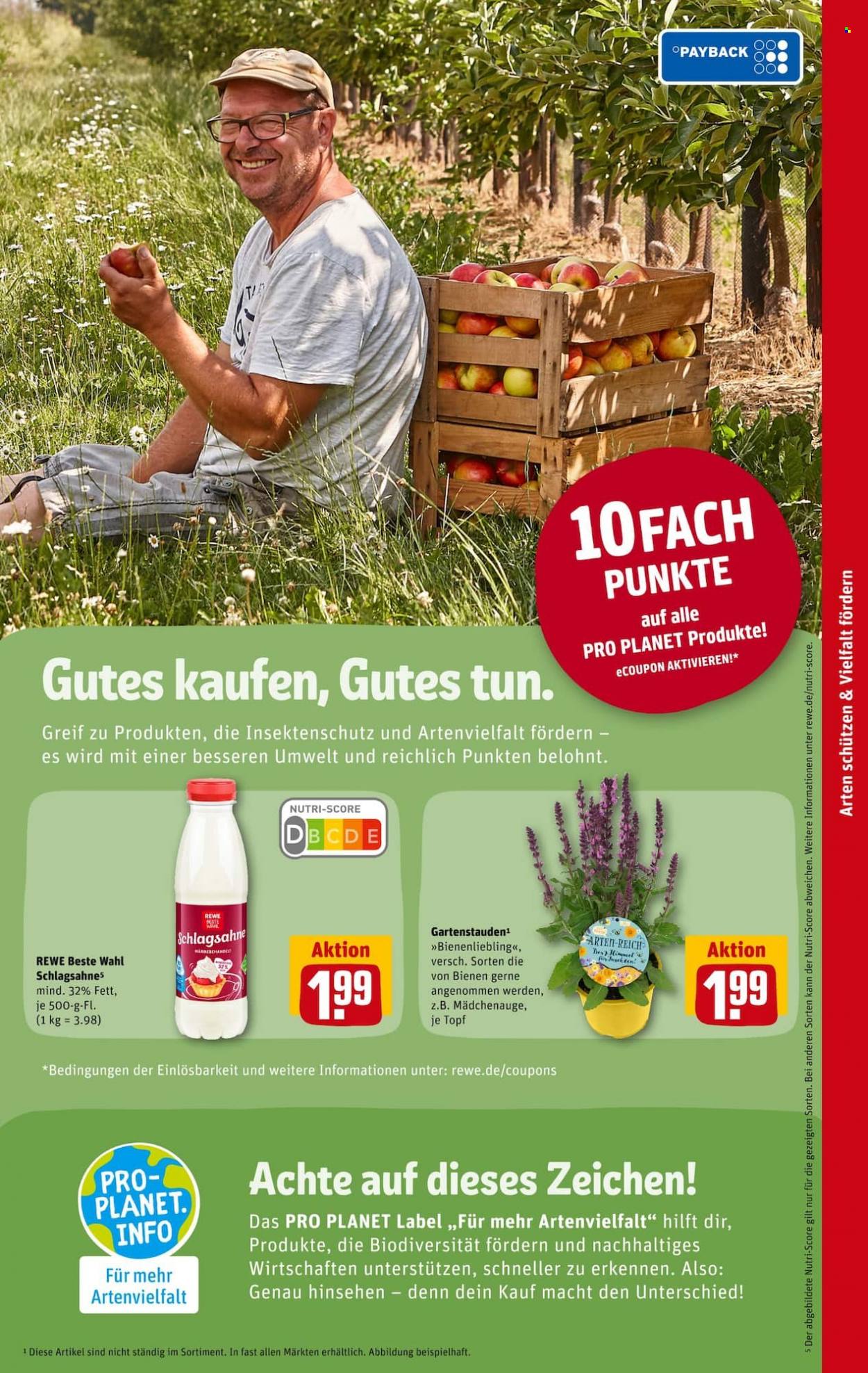 REWE Prospekte  - 20.06.2022 - 25.06.2022. Seite 23