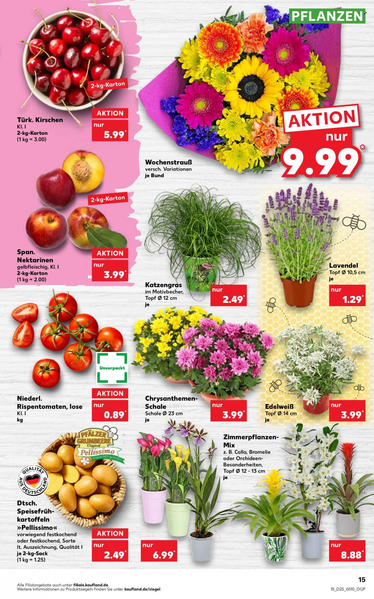 Kaufland Prospekte  - 23.06.2022 - 29.06.2022. Seite 15