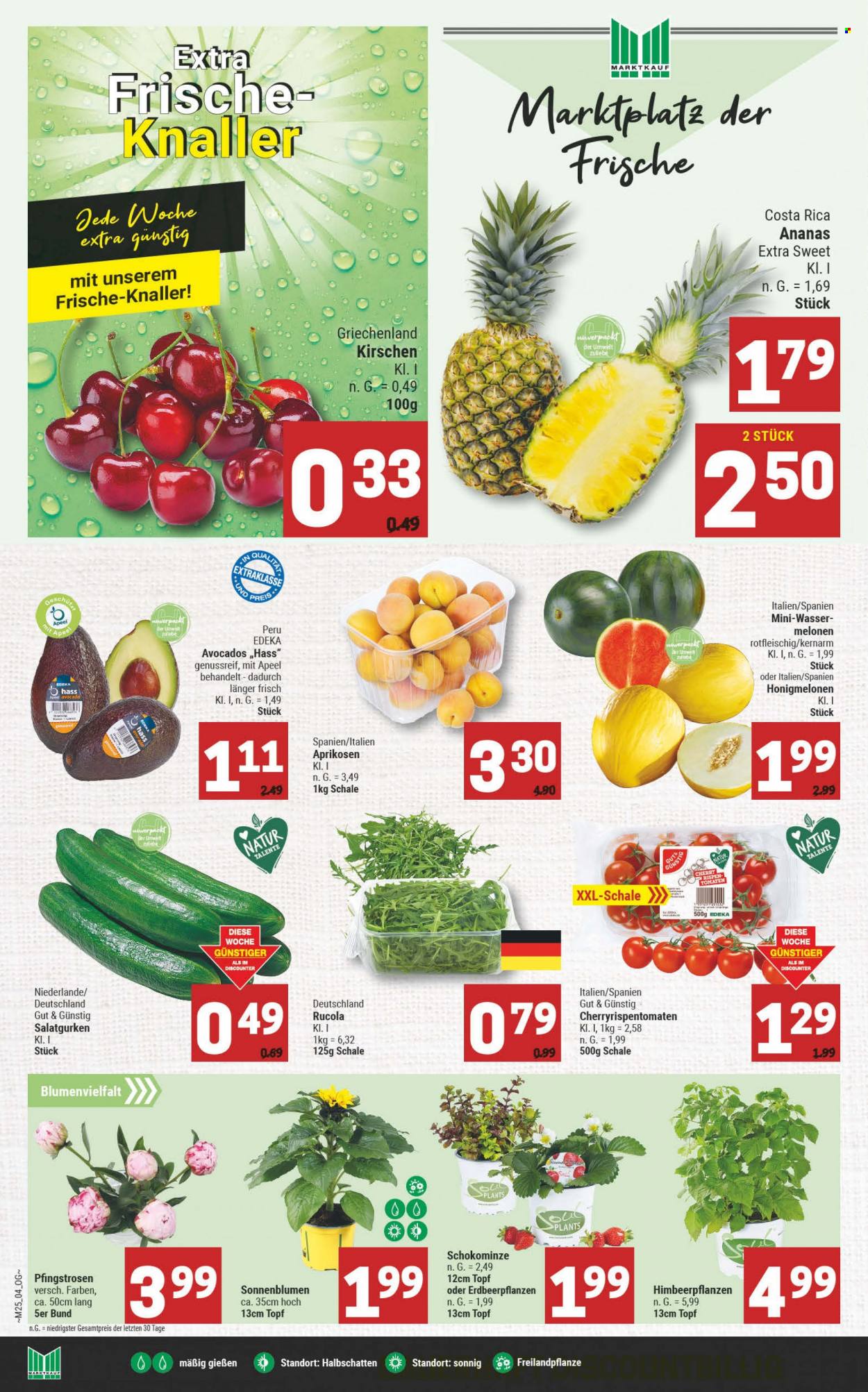 Marktkauf Prospekte  - 20.06.2022 - 25.06.2022. Seite 4