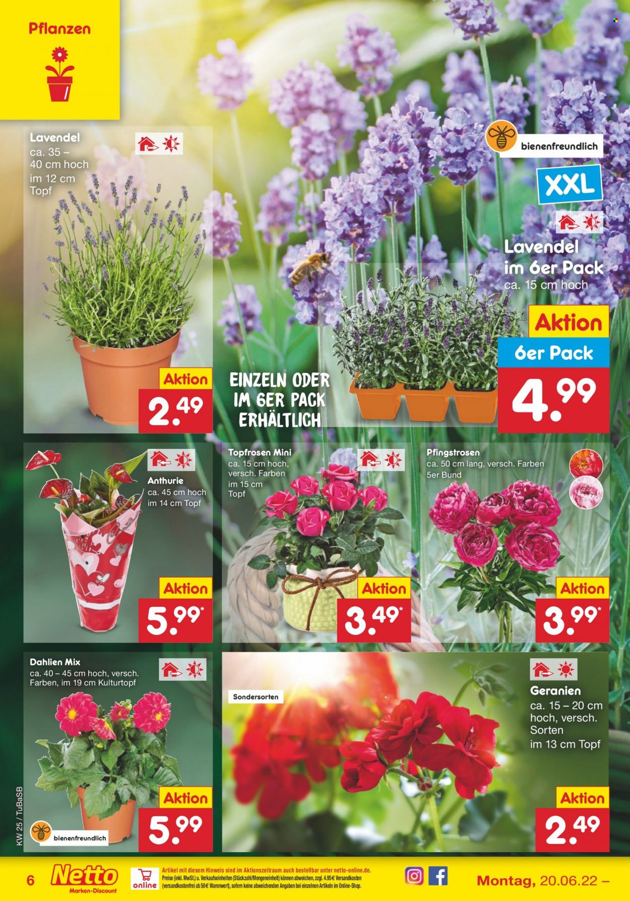 Netto Marken-Discount Prospekte  - 20.06.2022 - 25.06.2022. Seite 6