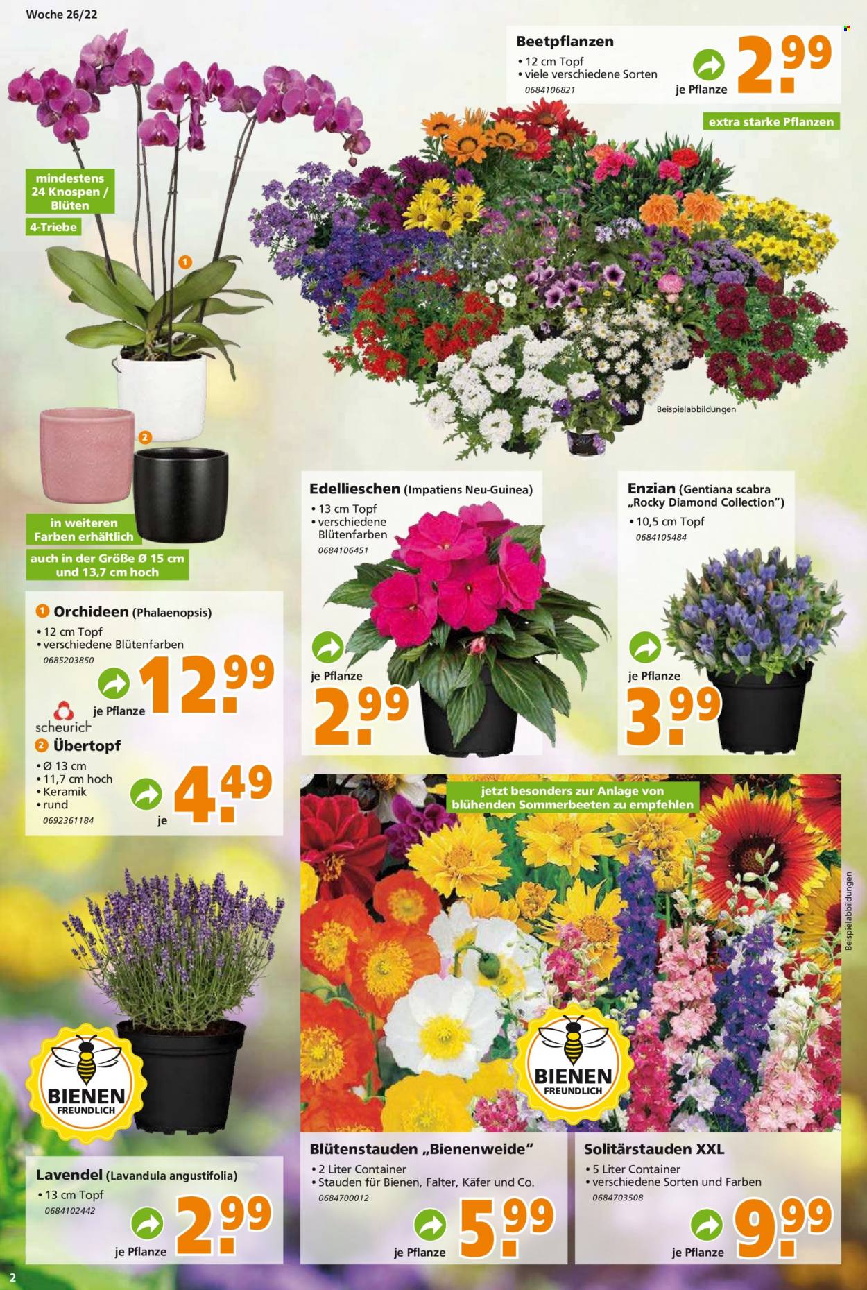 Globus Baumarkt Prospekte  - 27.06.2022 - 2.07.2022. Seite 2