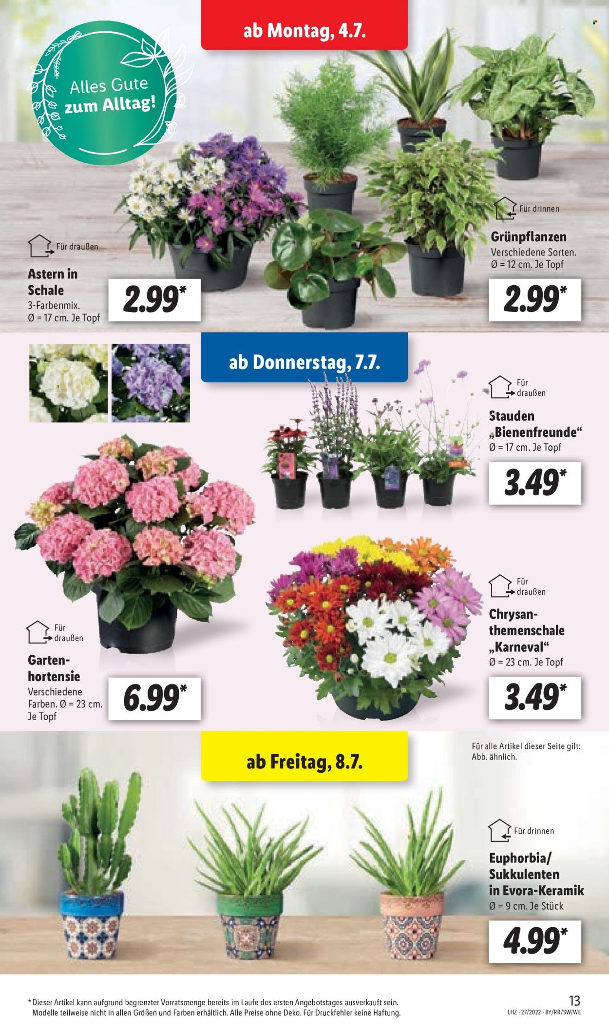 Lidl Prospekte  - 4.07.2022 - 9.07.2022. Seite 13