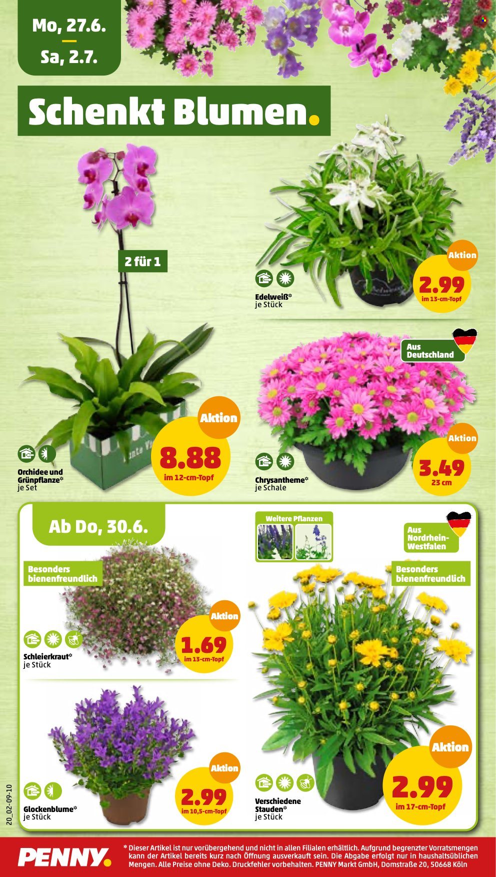 Penny Prospekte  - 27.06.2022 - 2.07.2022. Seite 16