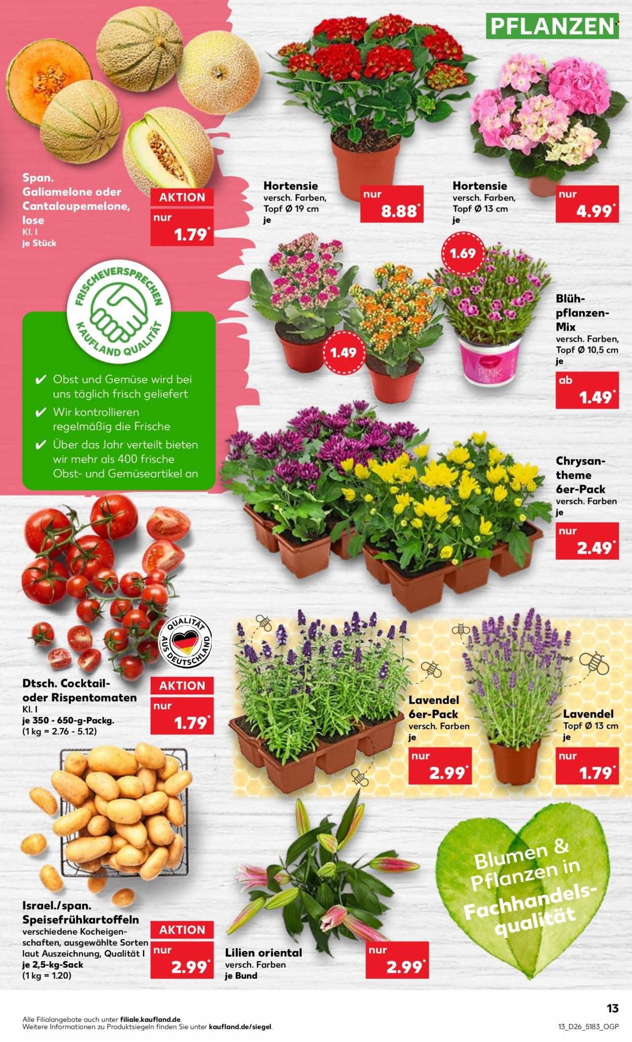 Kaufland Prospekte  - 30.06.2022 - 6.07.2022. Seite 13