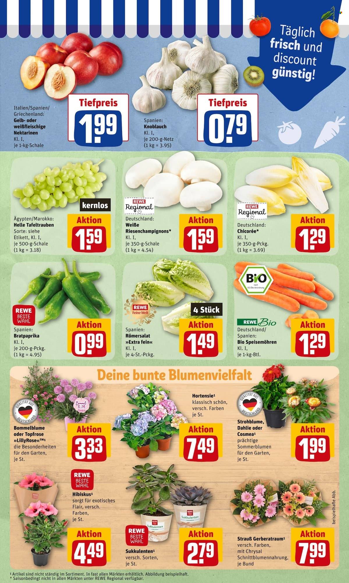 REWE Prospekte  - 27.06.2022 - 2.07.2022. Seite 9