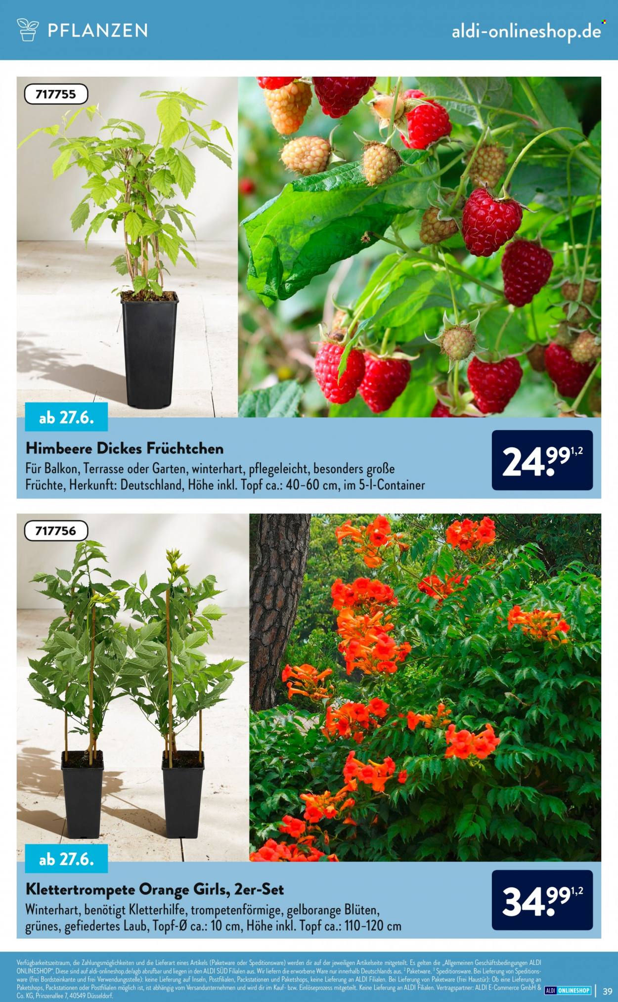 ALDI SÜD Prospekte . Seite 39