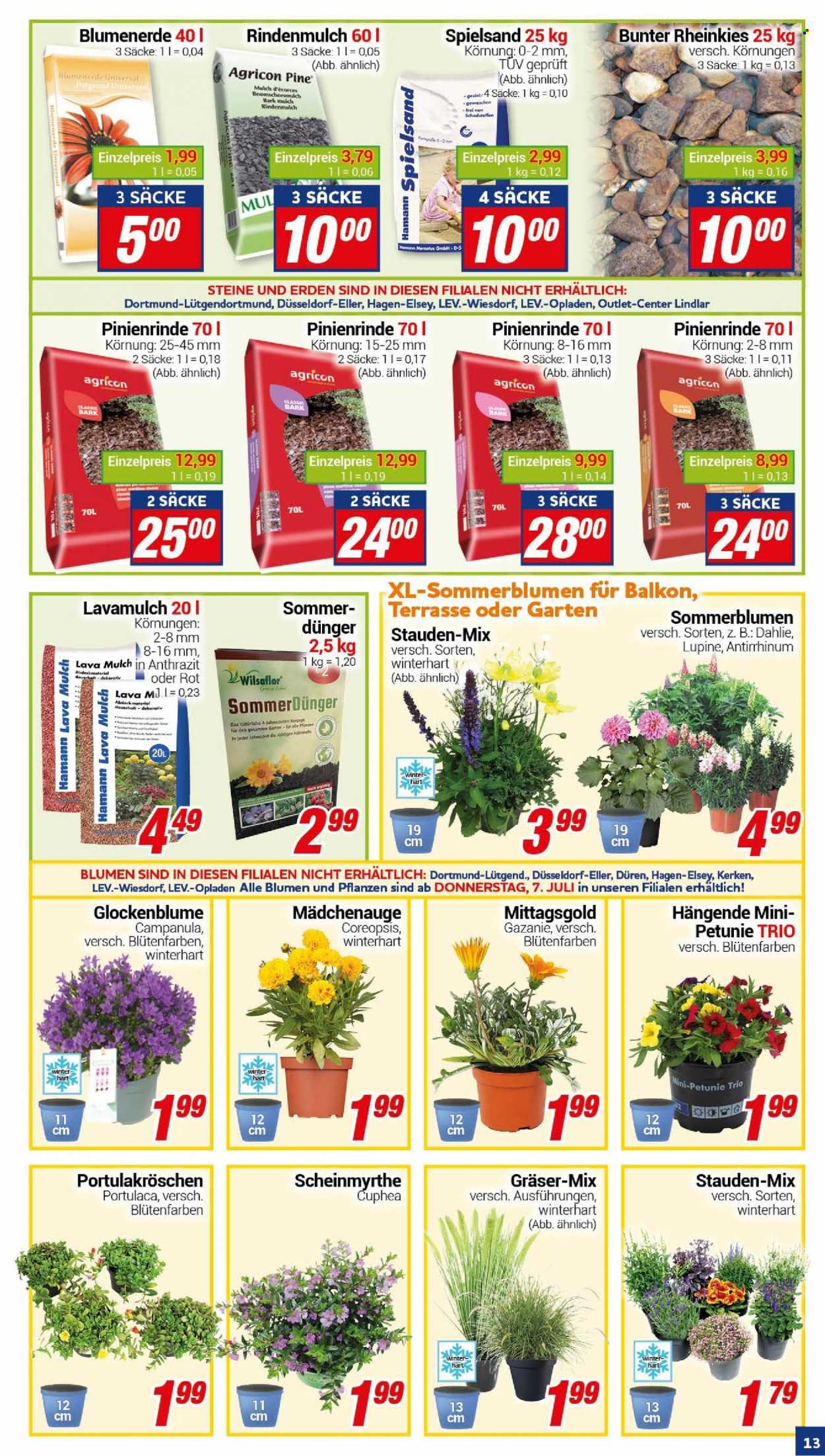 CENTERSHOP Prospekte  - 4.07.2022 - 9.07.2022. Seite 13