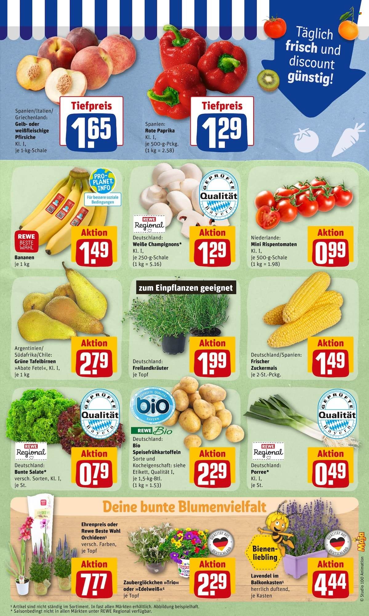 REWE Prospekte  - 4.07.2022 - 9.07.2022. Seite 5