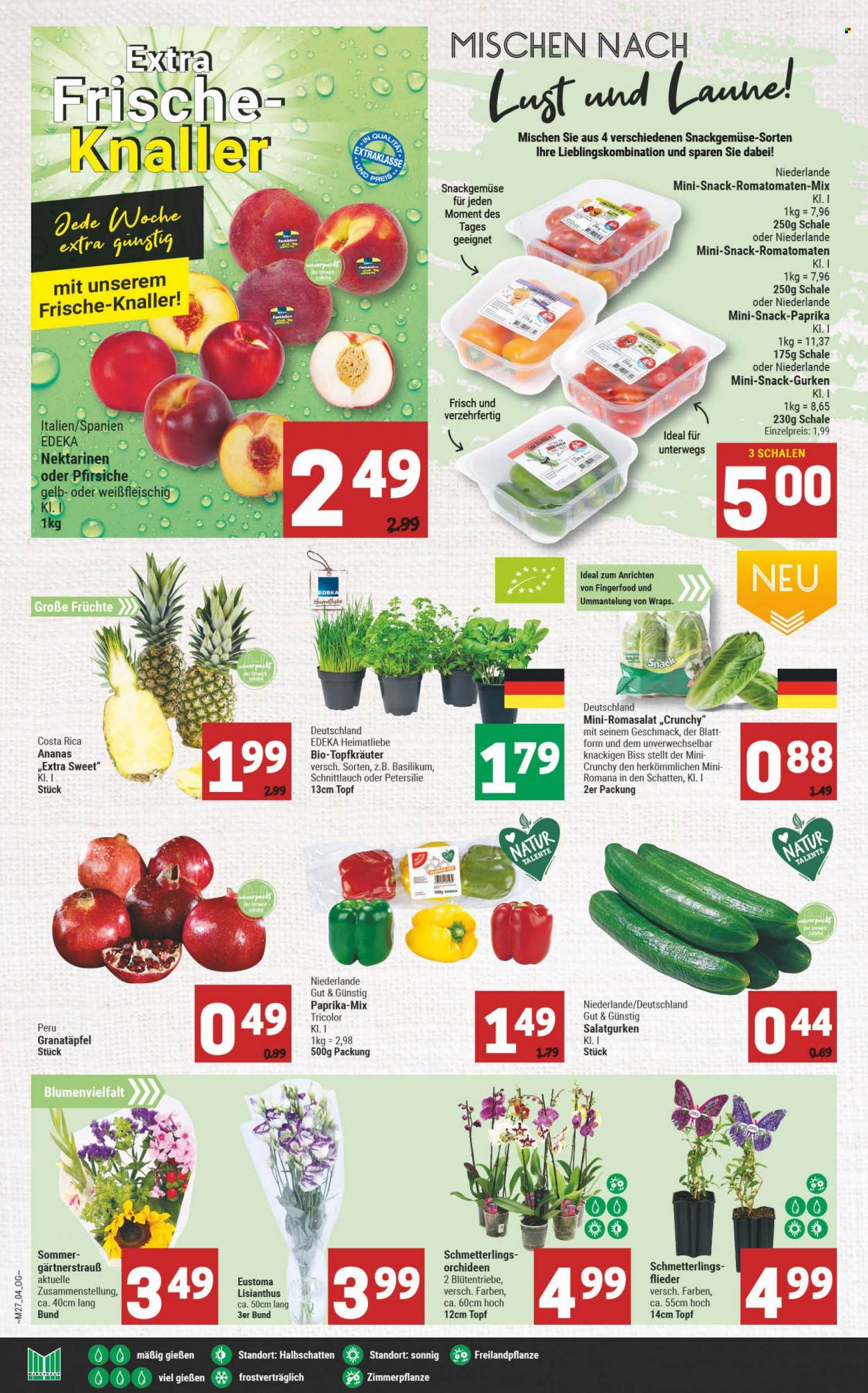 Marktkauf Prospekte  - 4.07.2022 - 9.07.2022. Seite 4