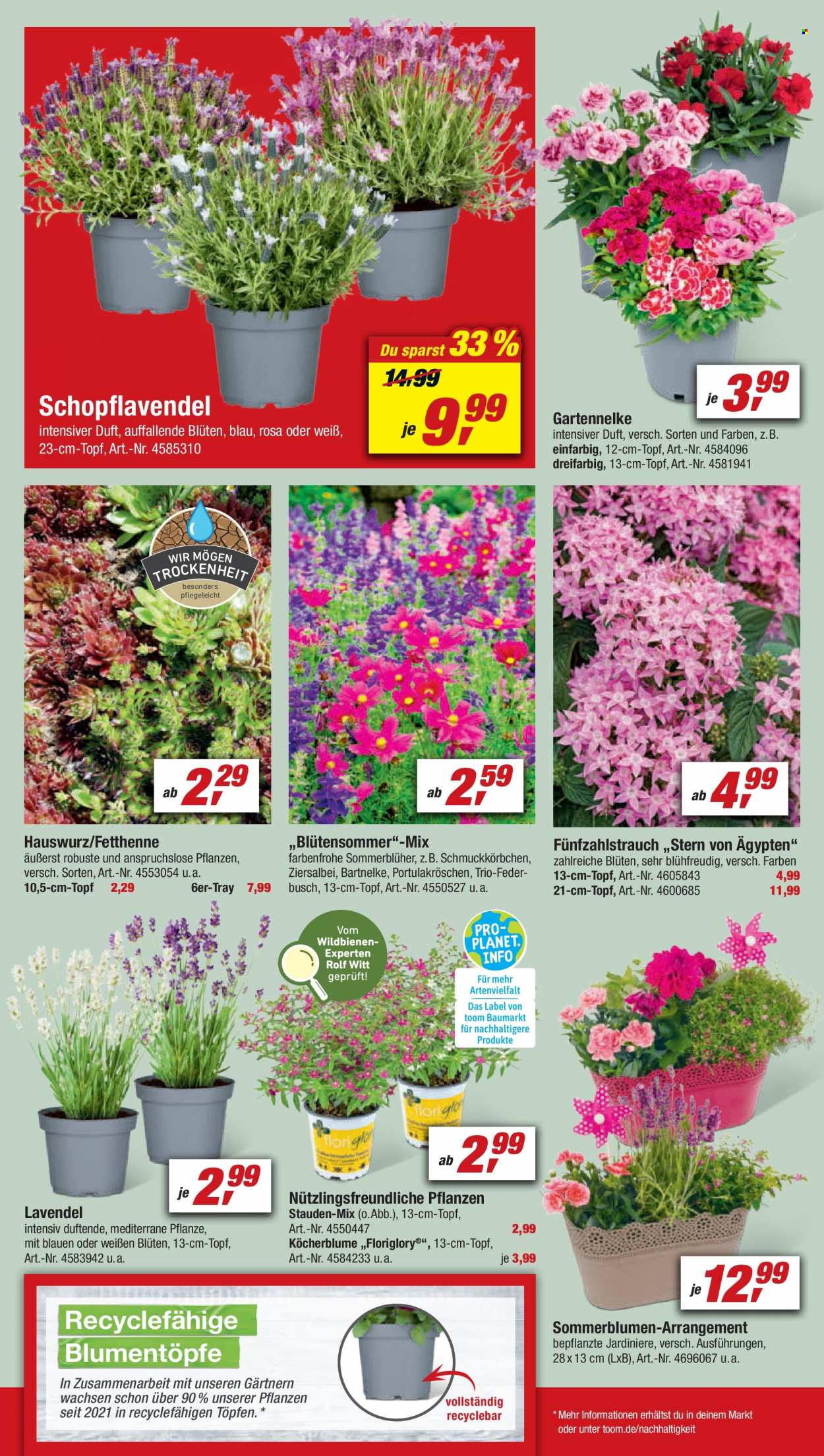 toom Baumarkt Prospekte  - 9.07.2022 - 15.07.2022. Seite 6