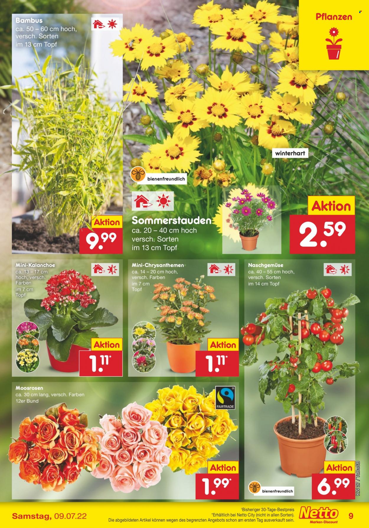 Netto Marken-Discount Prospekte  - 4.07.2022 - 9.07.2022. Seite 9