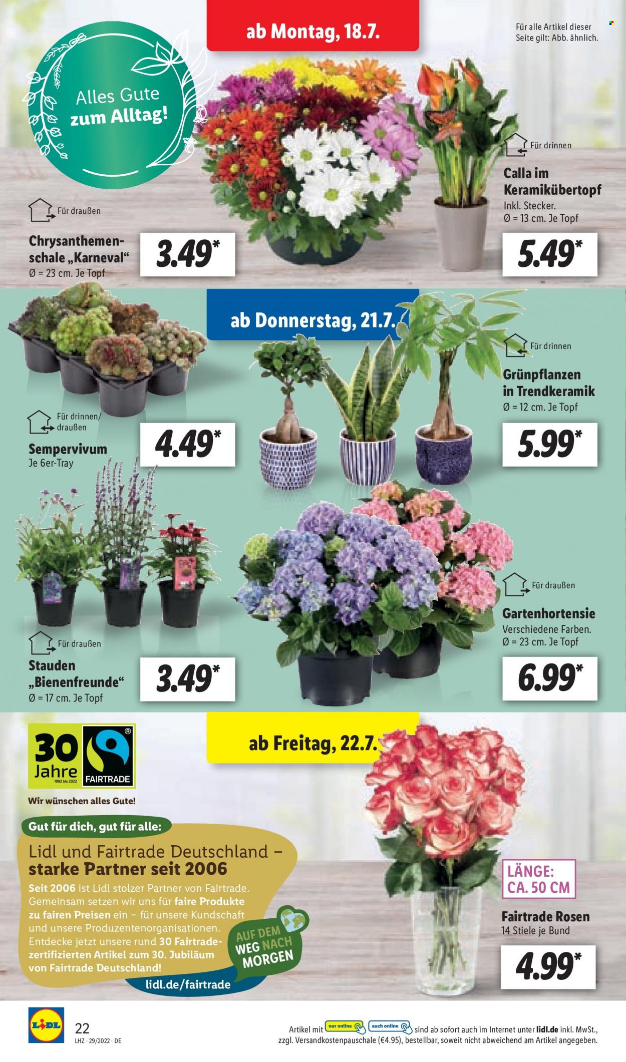 Lidl Prospekte  - 18.07.2022 - 23.07.2022. Seite 24