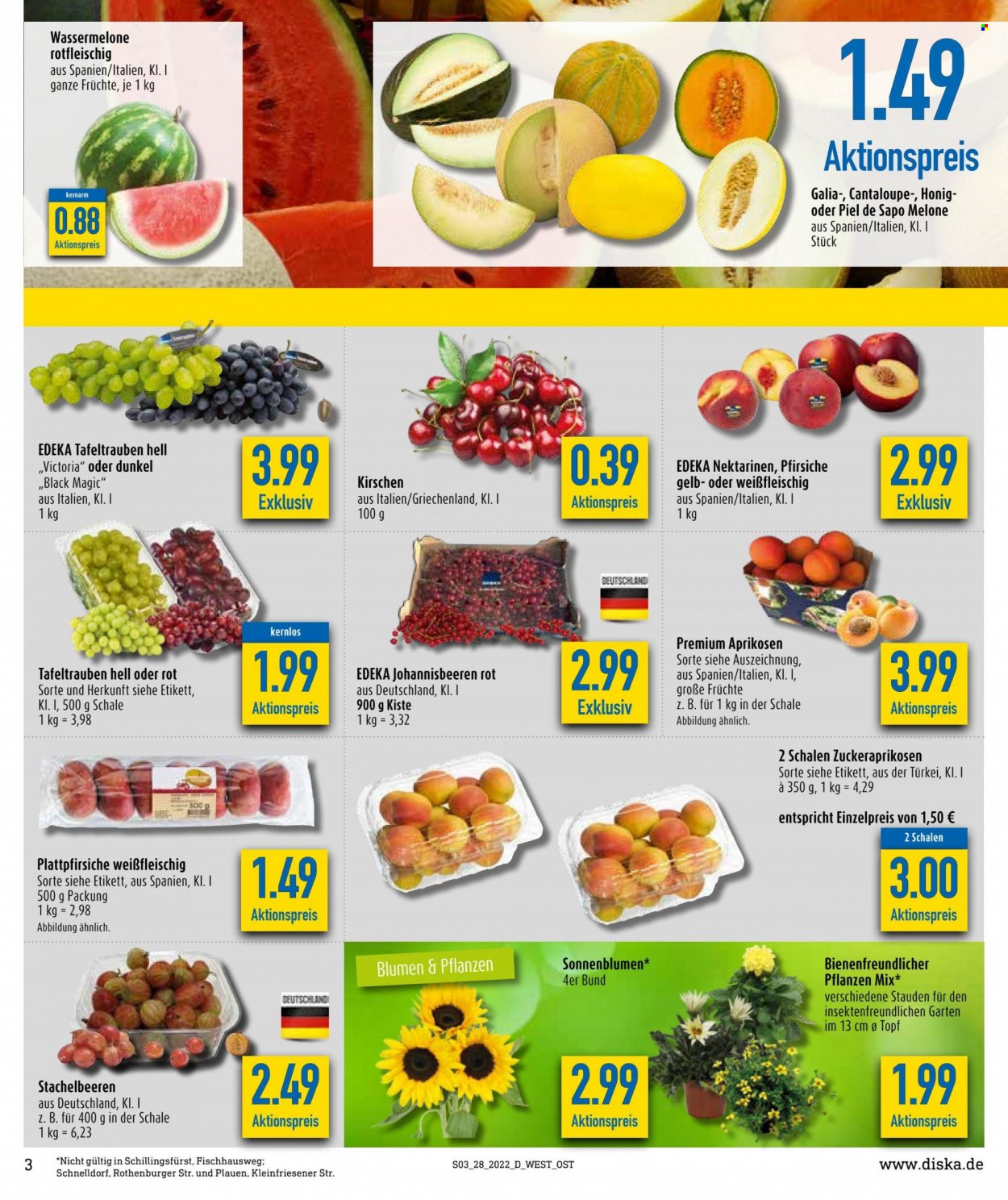 Diska Prospekte  - 11.07.2022 - 16.07.2022. Seite 3