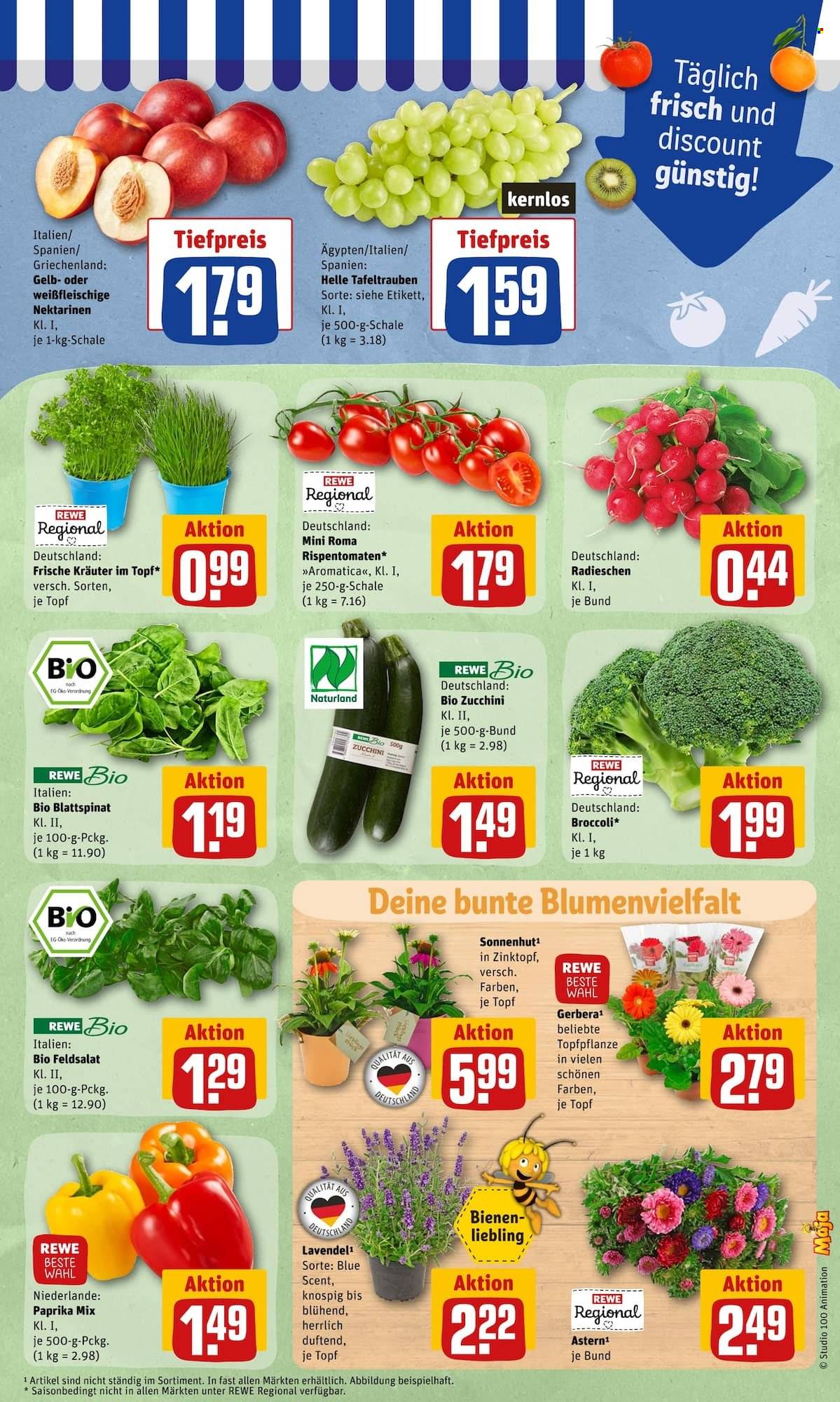 Leták REWE - 11.7.2022 - 16.7.2022. Strana 9