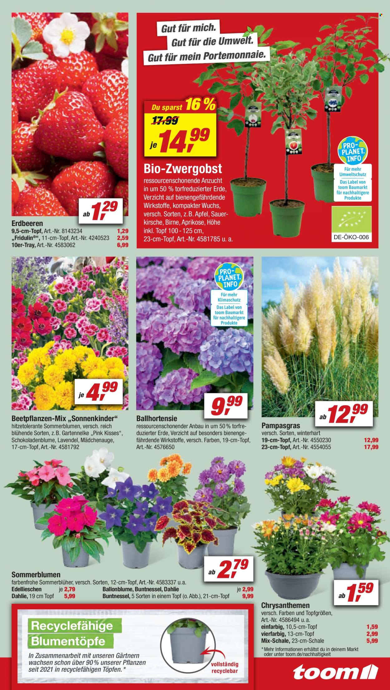 toom Baumarkt Prospekte  - 16.07.2022 - 22.07.2022. Seite 5
