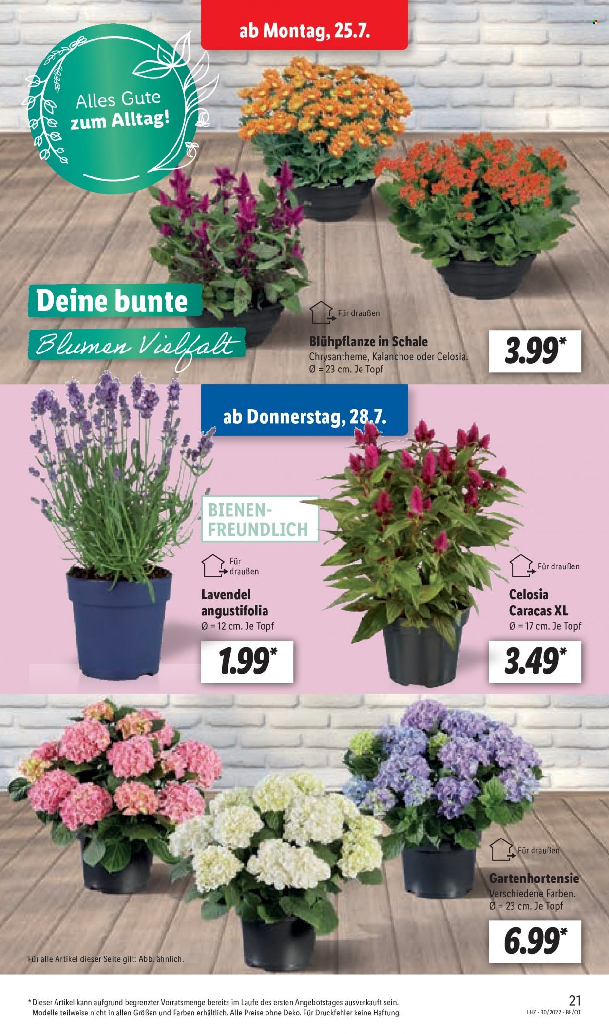 Lidl Prospekte  - 25.07.2022 - 30.07.2022. Seite 21