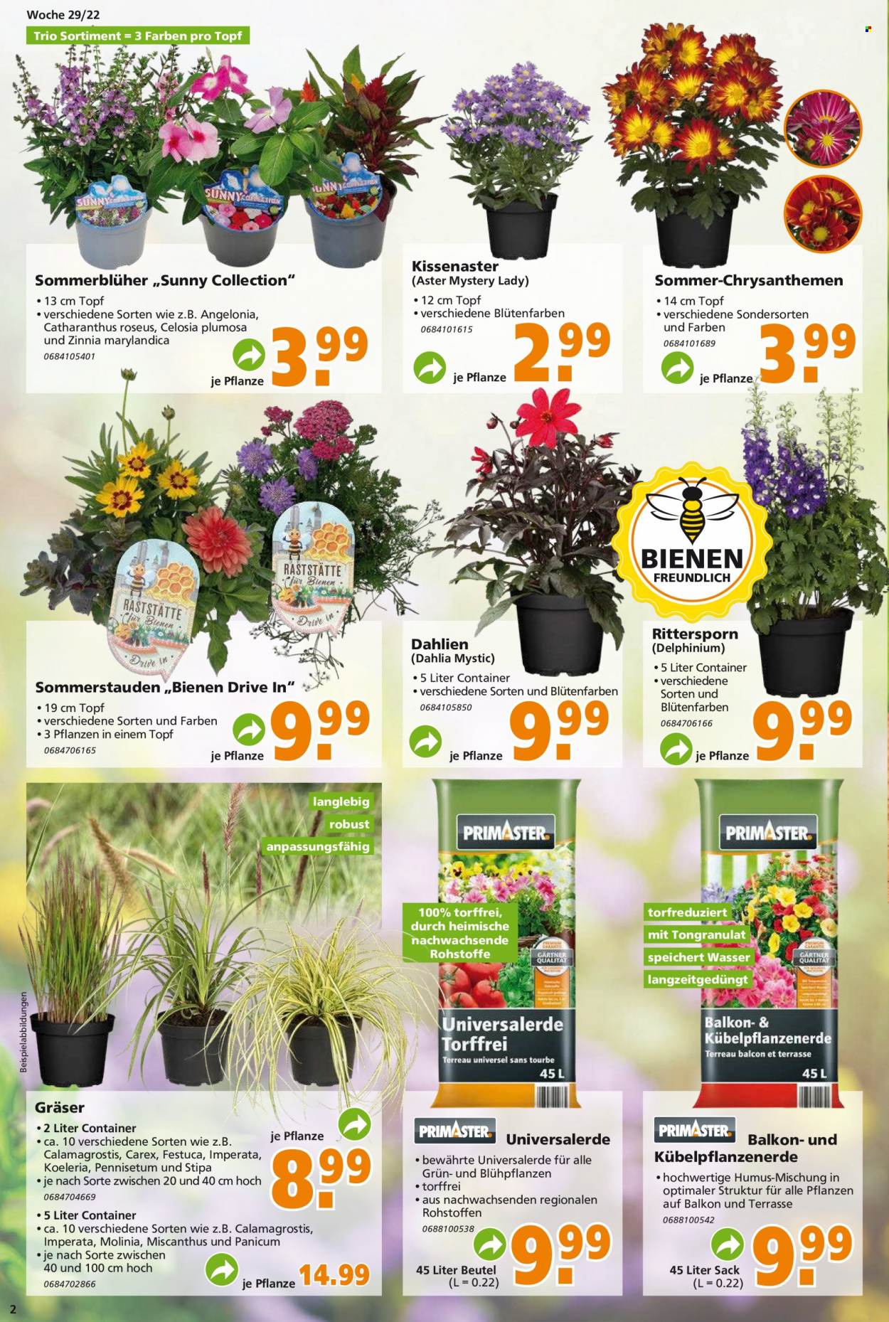 Globus Baumarkt Prospekte  - 18.07.2022 - 23.07.2022. Seite 2