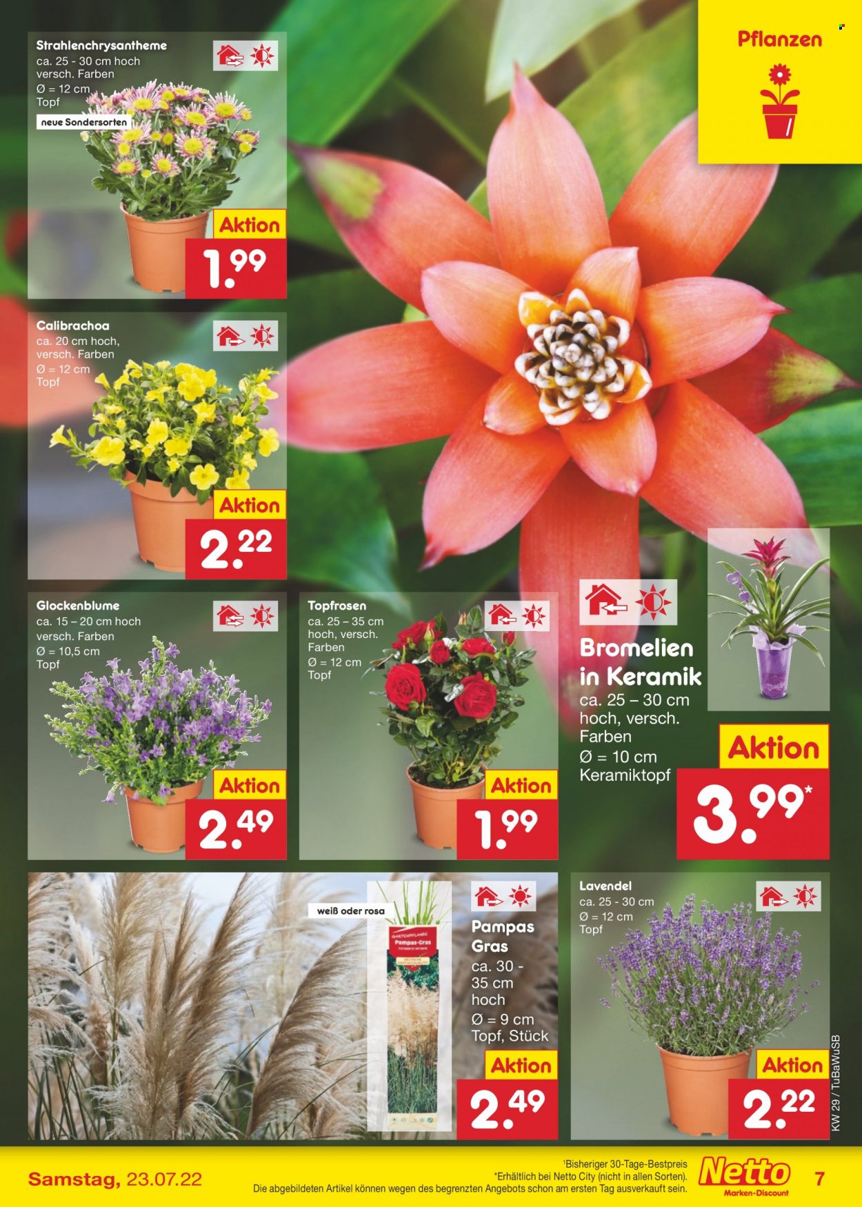 Netto Marken-Discount Prospekte  - 18.07.2022 - 23.07.2022. Seite 7