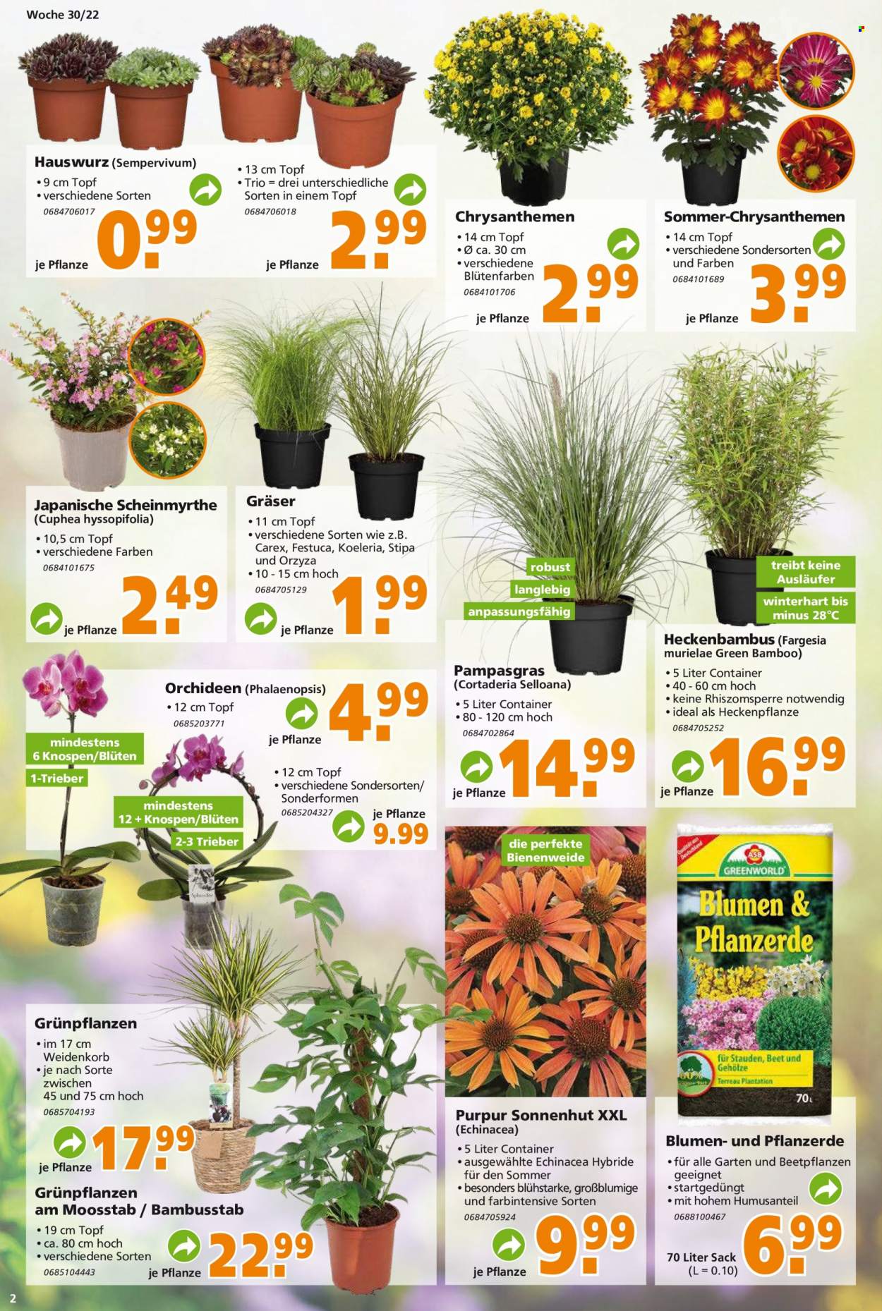 Globus Baumarkt Prospekte  - 24.07.2022 - 30.07.2022. Seite 2