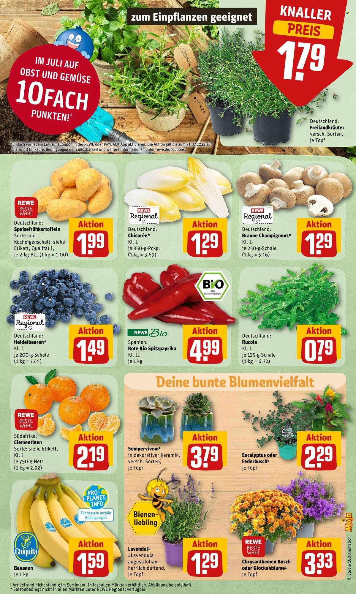 REWE Prospekte  - 25.07.2022 - 30.07.2022. Seite 5