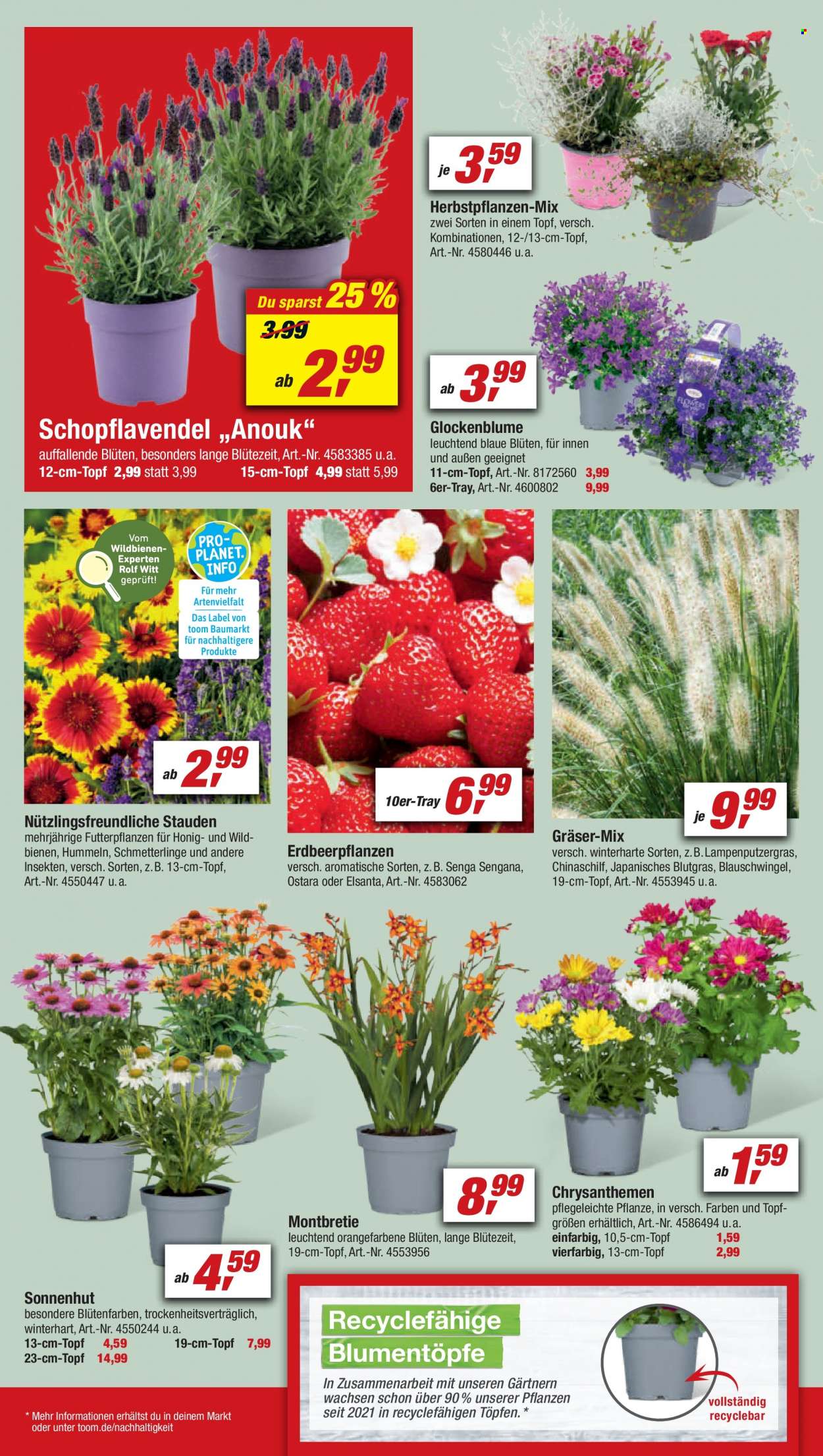 toom Baumarkt Prospekte  - 30.07.2022 - 5.08.2022. Seite 4