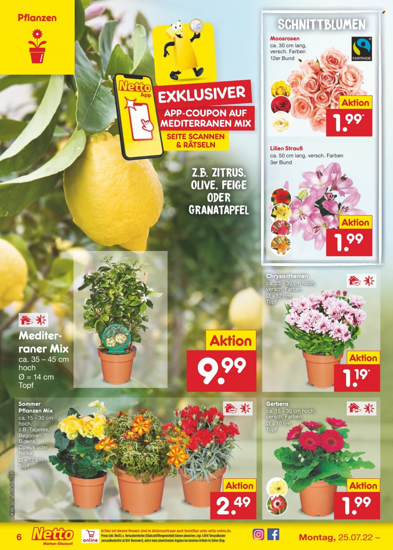 Netto Marken-Discount Prospekte  - 25.07.2022 - 30.07.2022. Seite 6