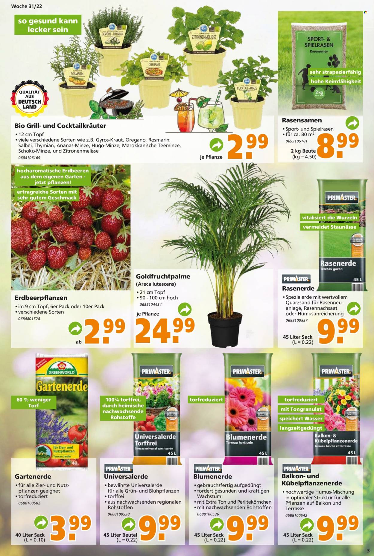 Globus Baumarkt Prospekte  - 1.08.2022 - 6.08.2022. Seite 3
