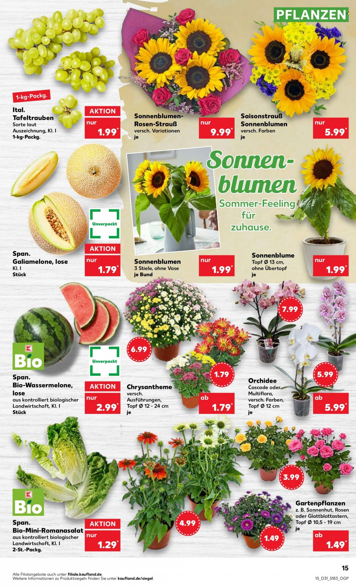 Kaufland Prospekte  - 4.08.2022 - 10.08.2022. Seite 15