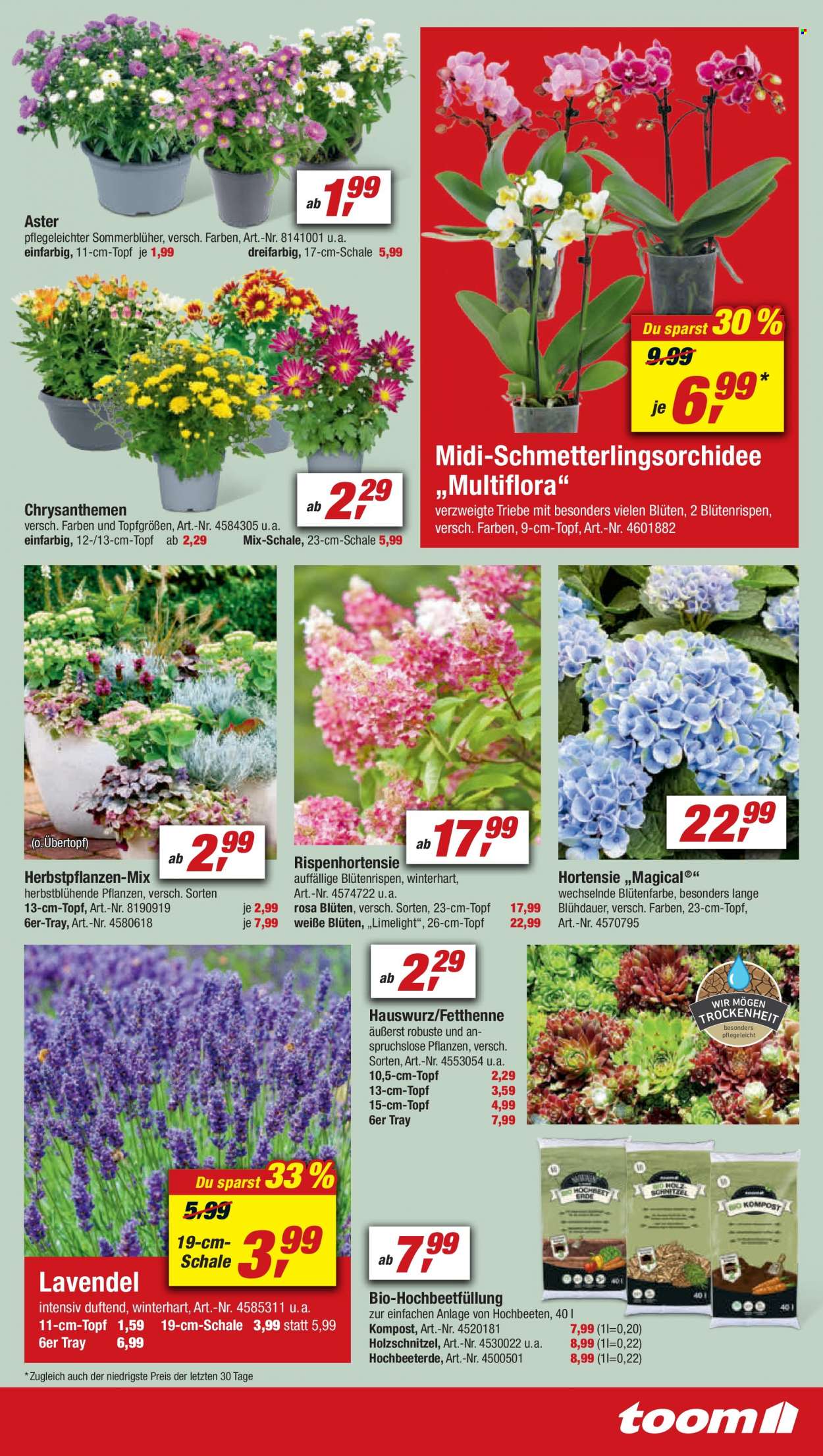 toom Baumarkt Prospekte  - 6.08.2022 - 12.08.2022. Seite 3