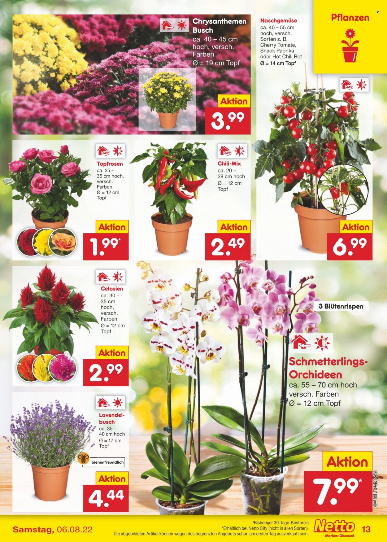 Netto Marken-Discount Prospekte  - 1.08.2022 - 6.08.2022. Seite 13