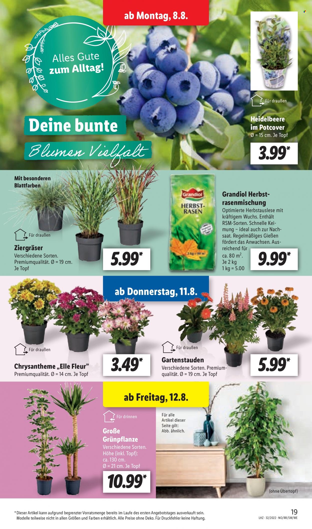 Lidl Prospekte  - 8.08.2022 - 13.08.2022. Seite 19