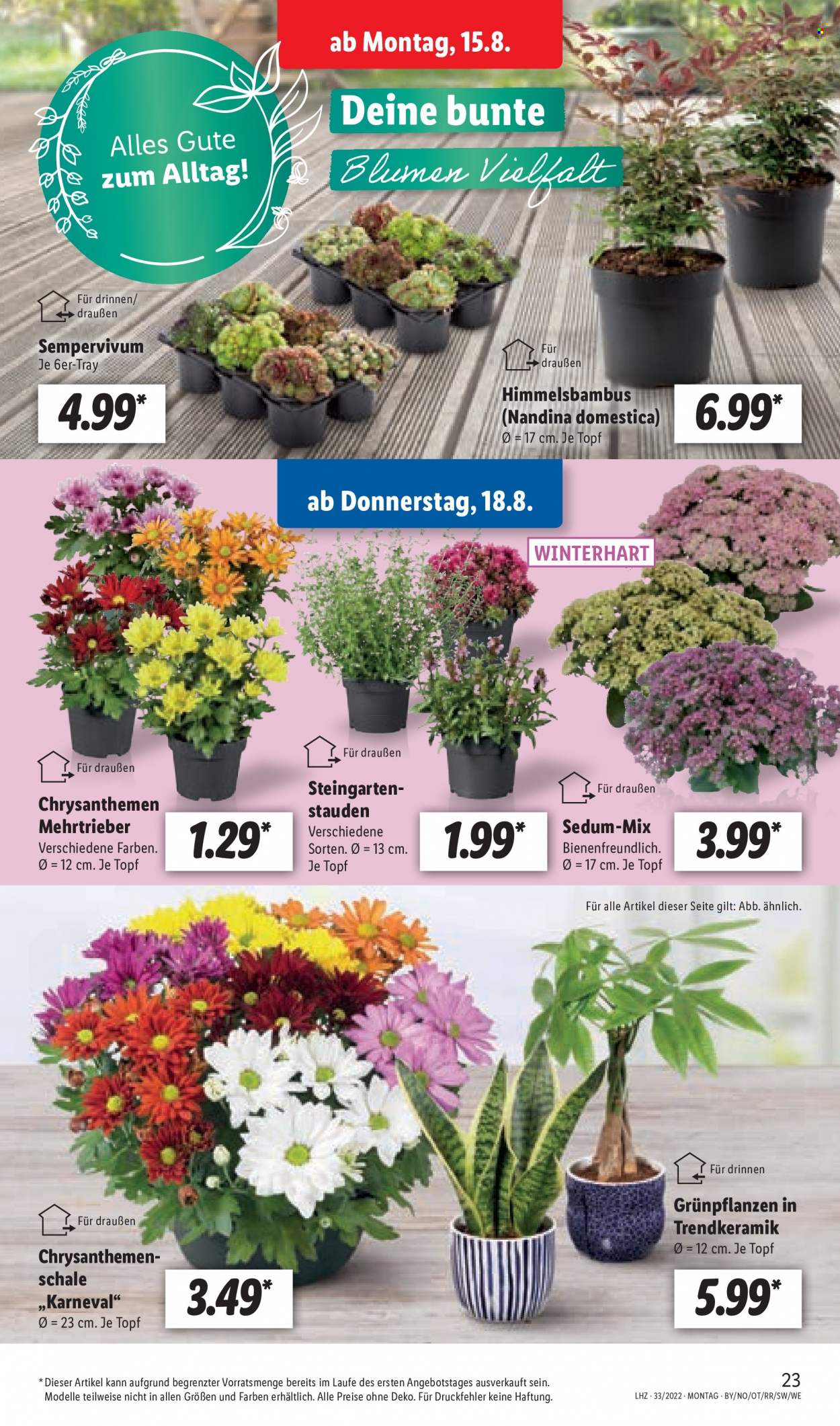 Lidl Prospekte  - 12.08.2022 - 12.08.2022. Seite 23
