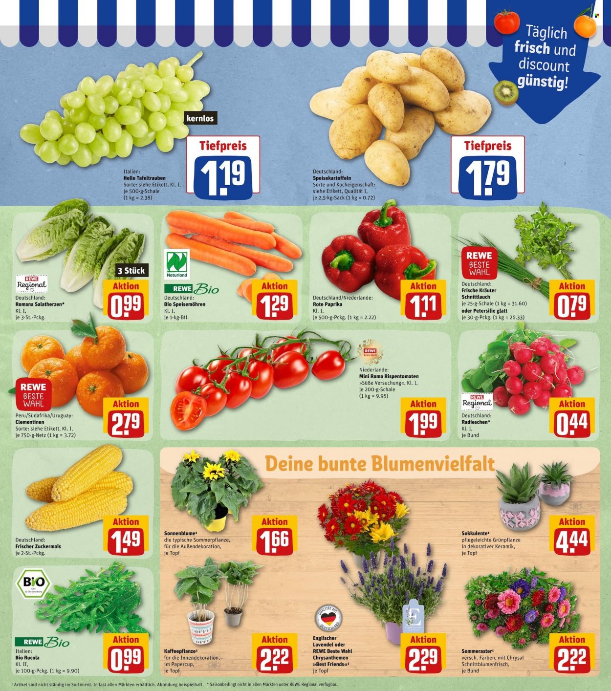 REWE Prospekte  - 8.08.2022 - 13.08.2022. Seite 5
