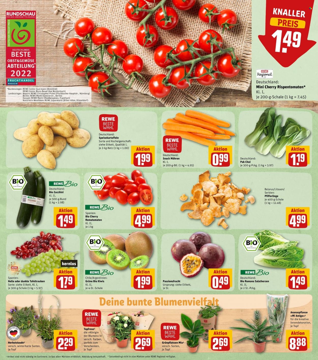 REWE Prospekte  - 15.08.2022 - 20.08.2022. Seite 5