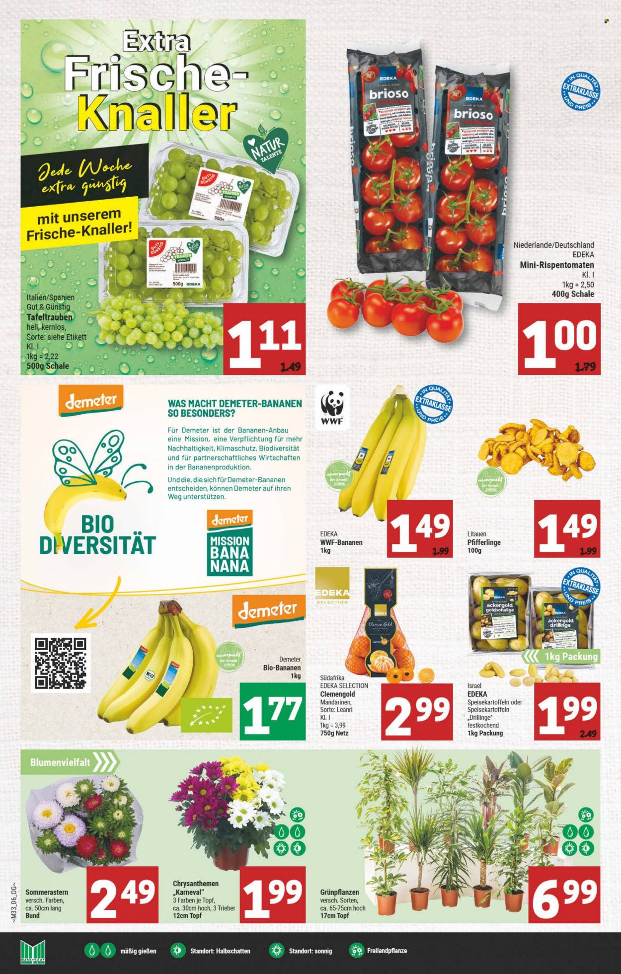 Marktkauf Prospekte  - 15.08.2022 - 20.08.2022. Seite 6