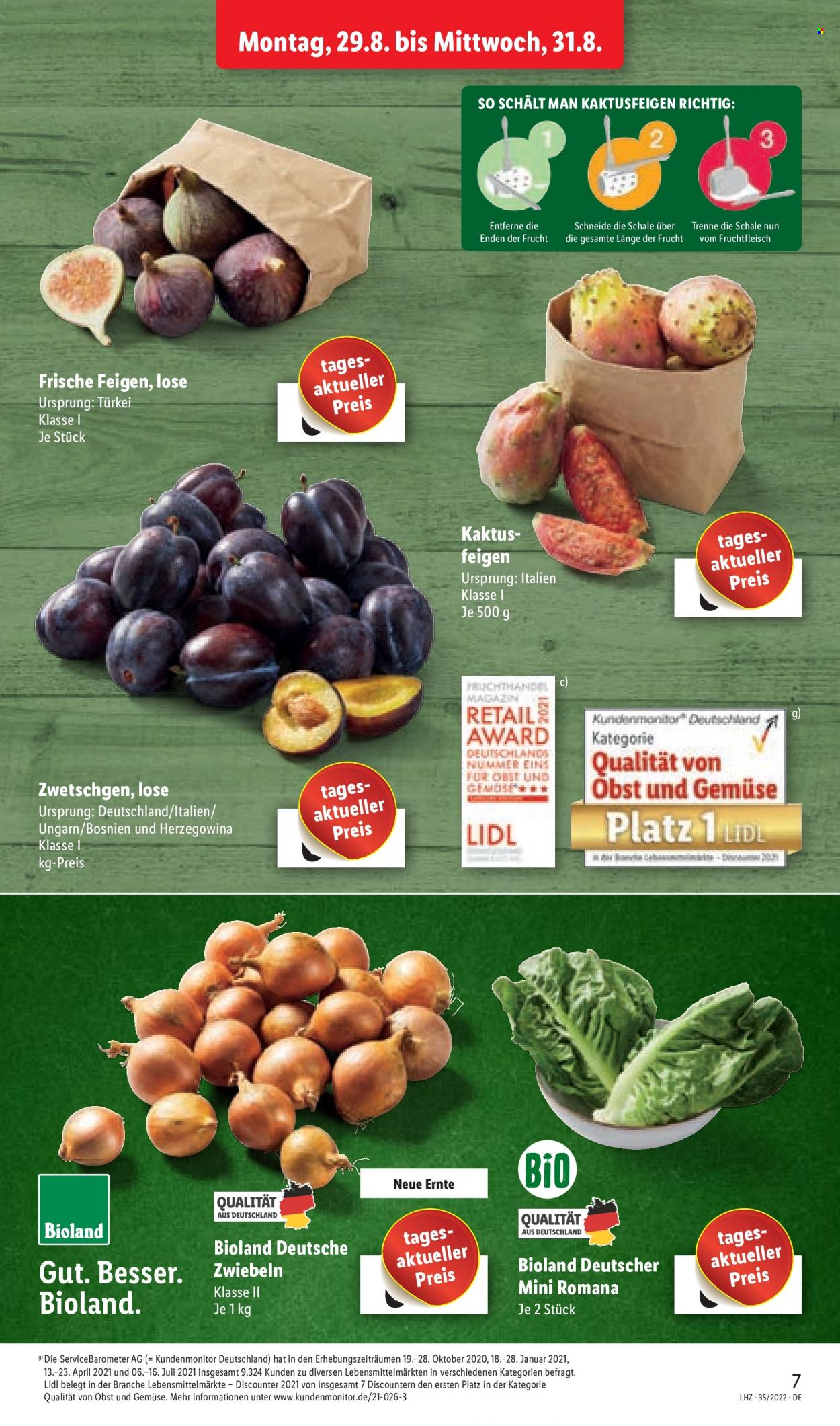 Lidl Prospekte  - 27.08.2022 - 27.08.2022. Seite 7