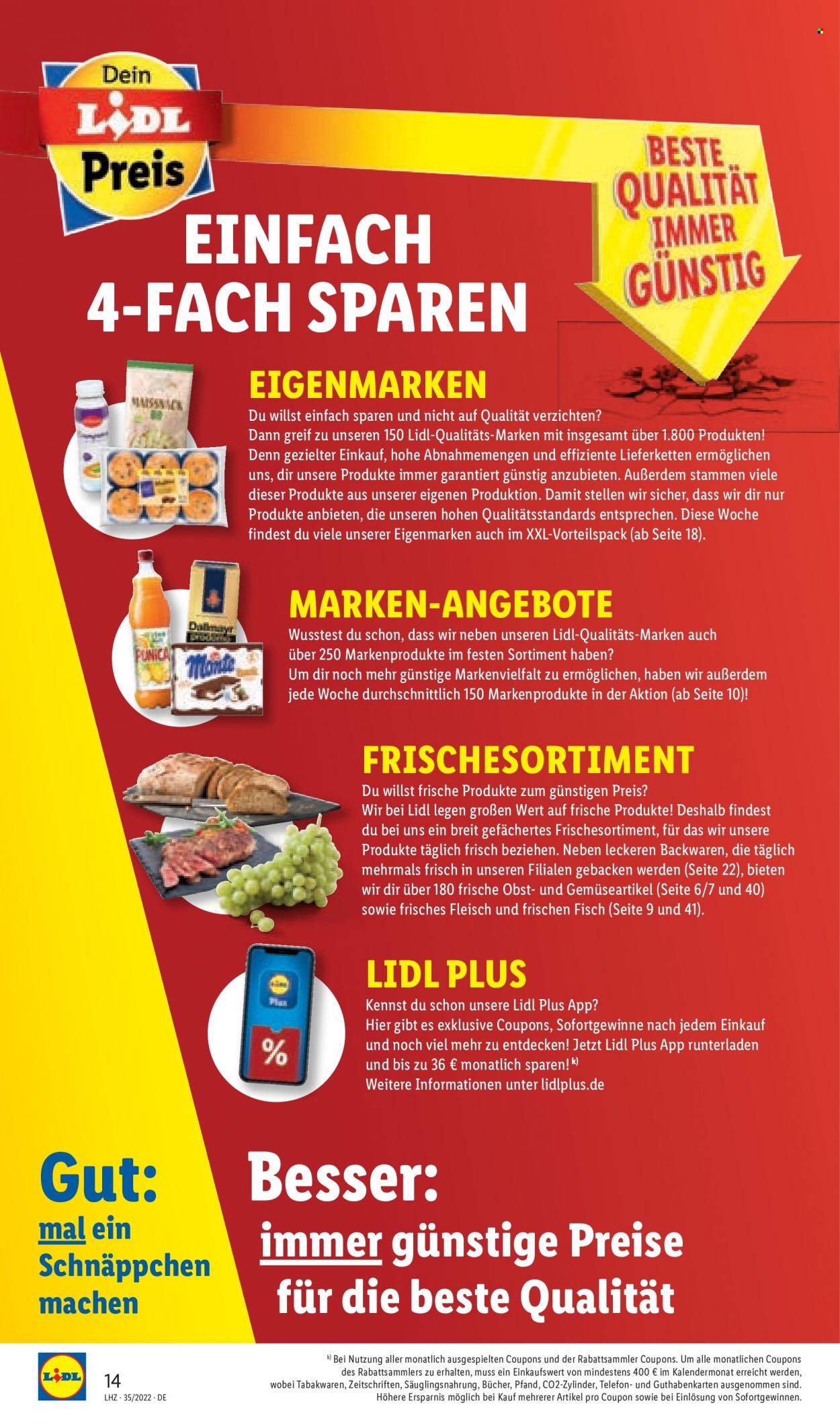 Lidl Prospekte  - 27.08.2022 - 27.08.2022. Seite 14