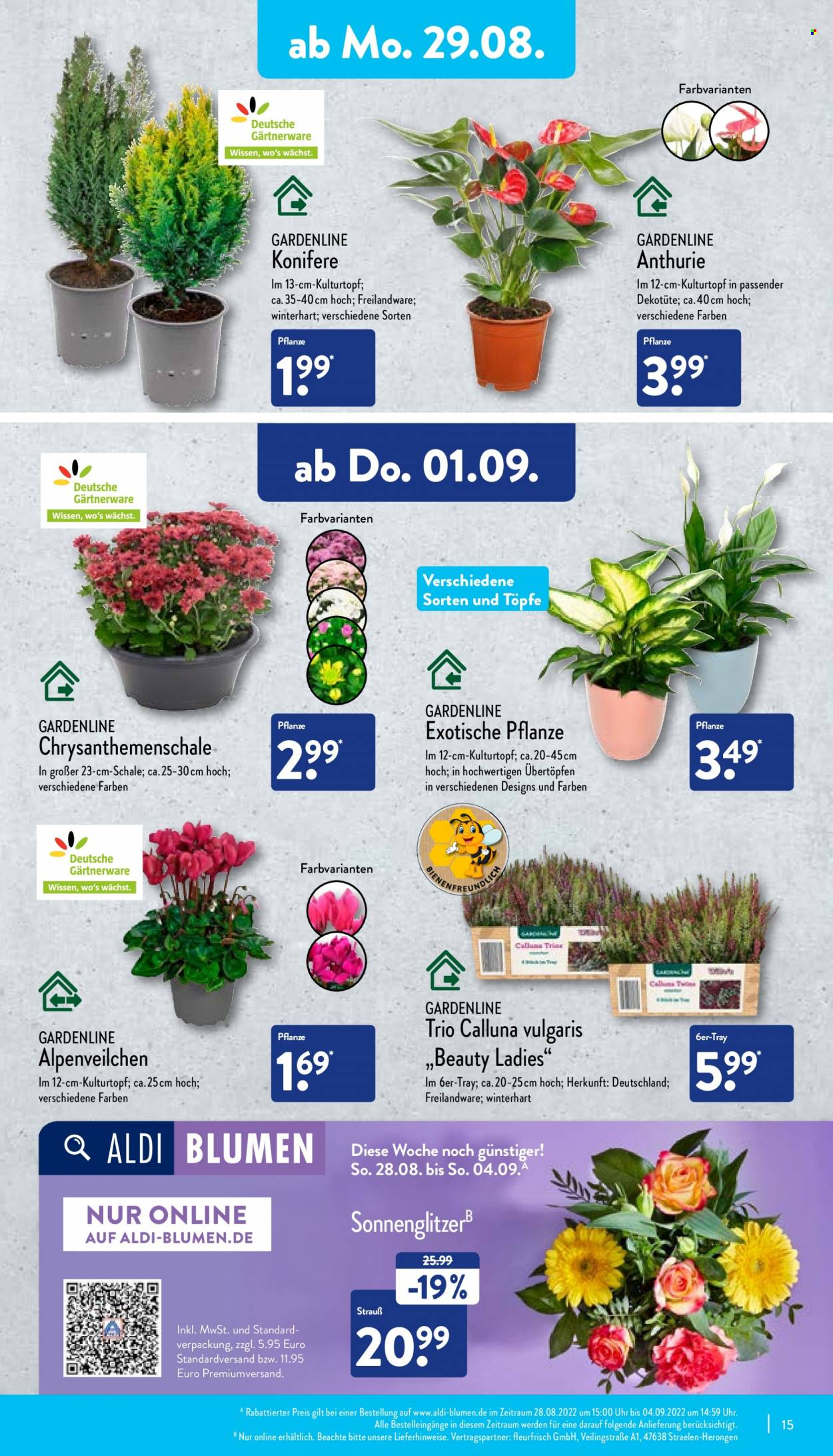 ALDI Nord Prospekte  - 29.08.2022 - 3.09.2022. Seite 15