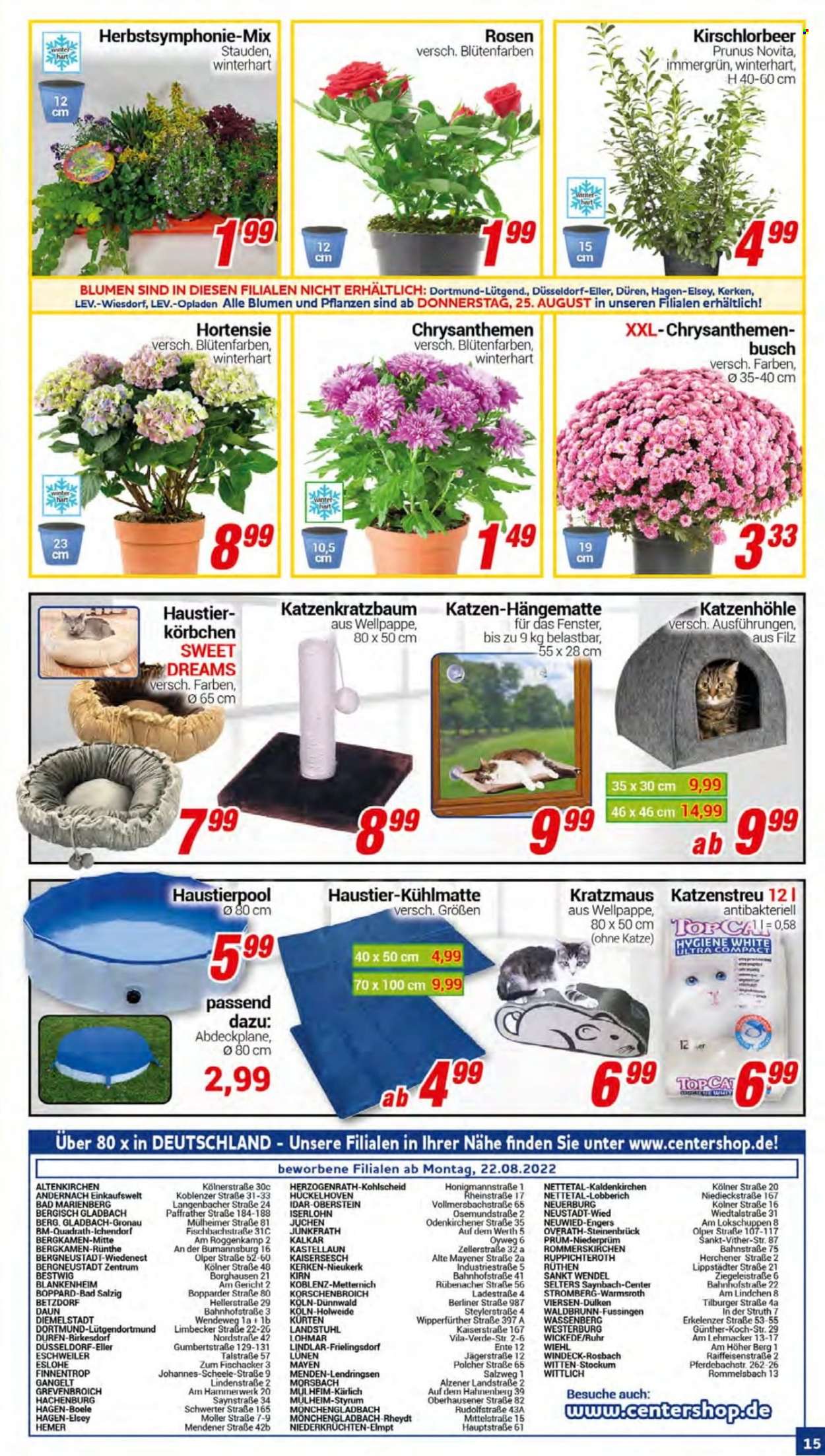 CENTERSHOP Prospekte  - 22.08.2022 - 27.08.2022. Seite 15
