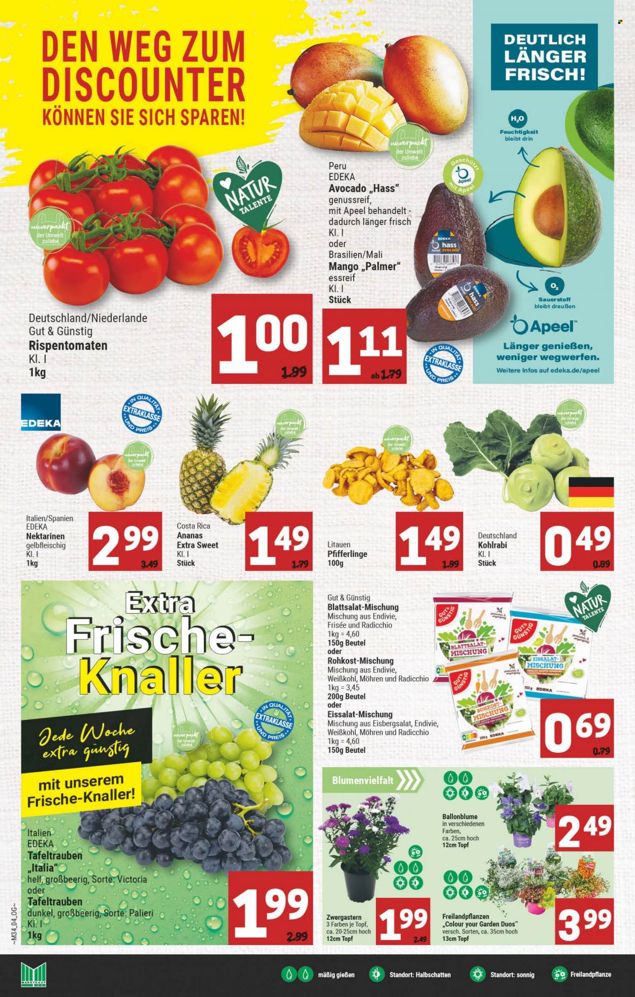 Marktkauf Prospekte  - 22.08.2022 - 27.08.2022. Seite 4